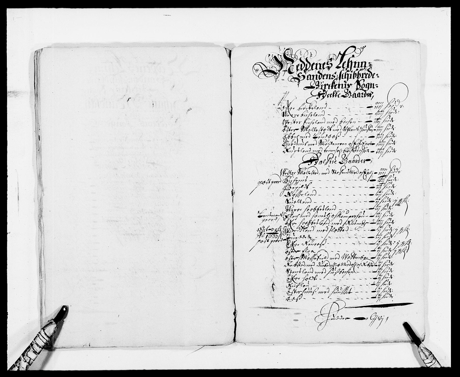 Rentekammeret inntil 1814, Reviderte regnskaper, Fogderegnskap, RA/EA-4092/R39/L2296: Fogderegnskap Nedenes, 1664-1666, p. 208