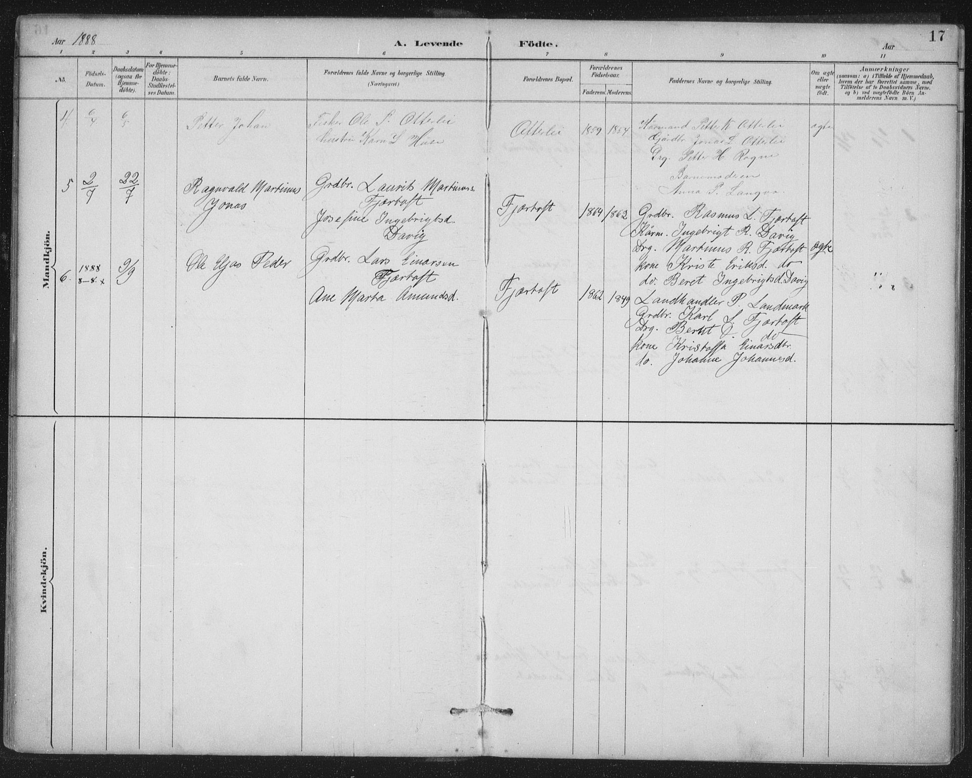 Ministerialprotokoller, klokkerbøker og fødselsregistre - Møre og Romsdal, AV/SAT-A-1454/538/L0522: Parish register (official) no. 538A01, 1884-1913, p. 17