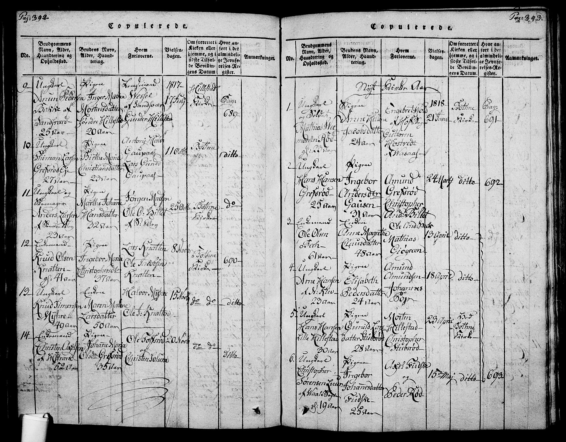 Botne kirkebøker, SAKO/A-340/F/Fa/L0005: Parish register (official) no. I 5, 1814-1836, p. 392-393