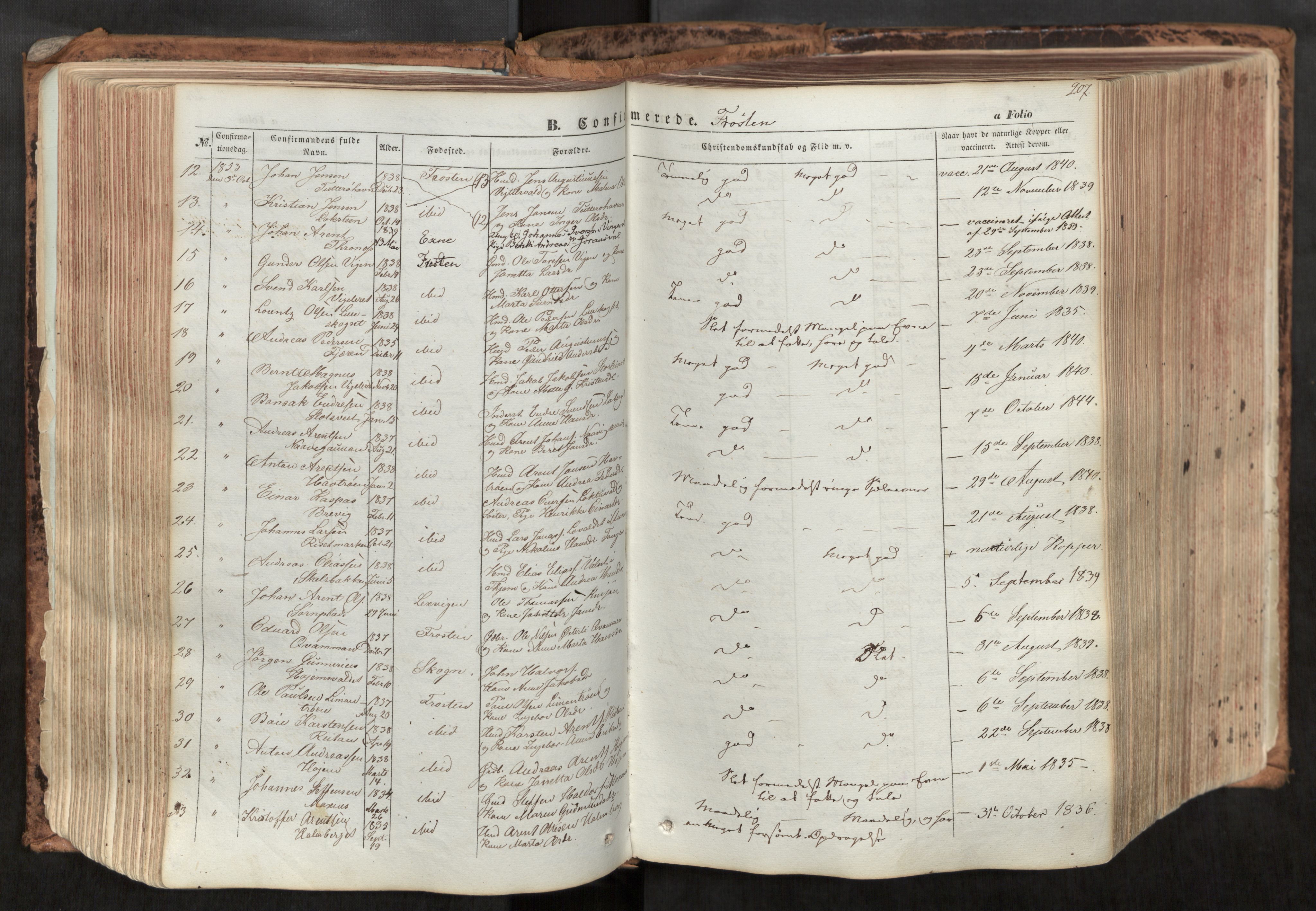 Ministerialprotokoller, klokkerbøker og fødselsregistre - Nord-Trøndelag, SAT/A-1458/713/L0116: Parish register (official) no. 713A07, 1850-1877, p. 207