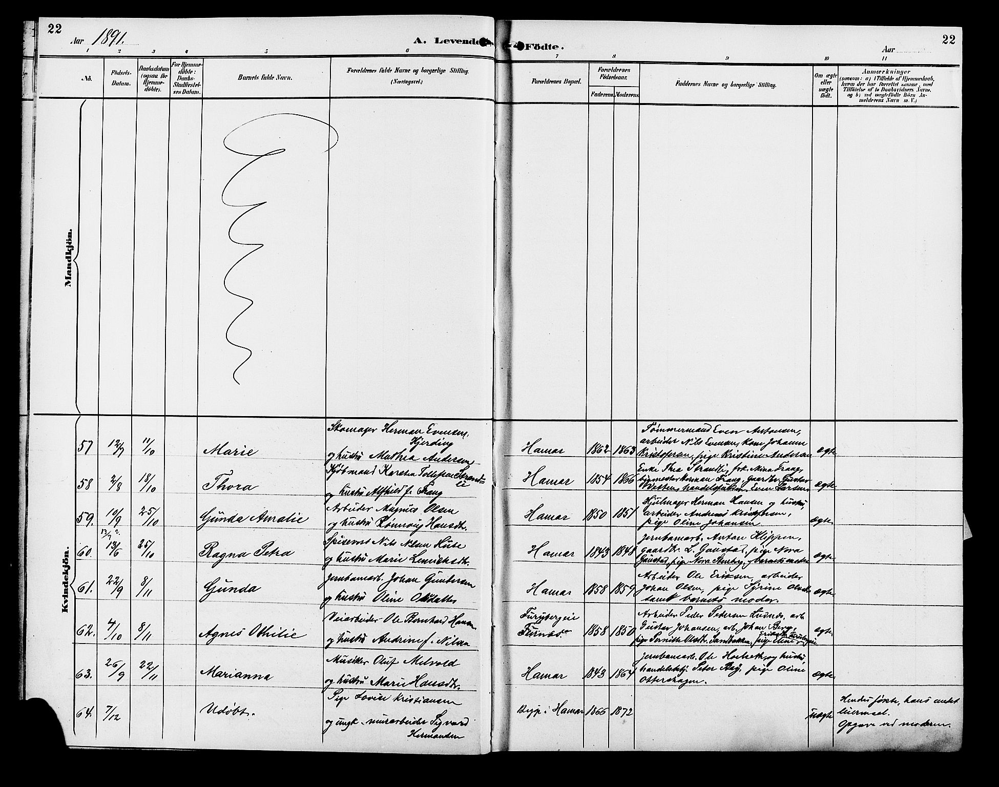 Vang prestekontor, Hedmark, AV/SAH-PREST-008/H/Ha/Hab/L0013: Parish register (copy) no. 13, 1890-1899, p. 22