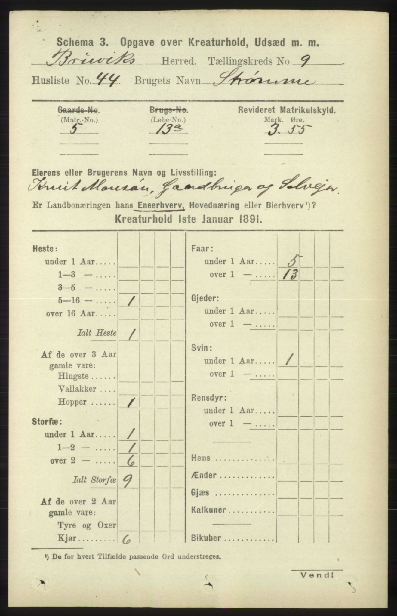 RA, 1891 census for 1251 Bruvik, 1891, p. 4887