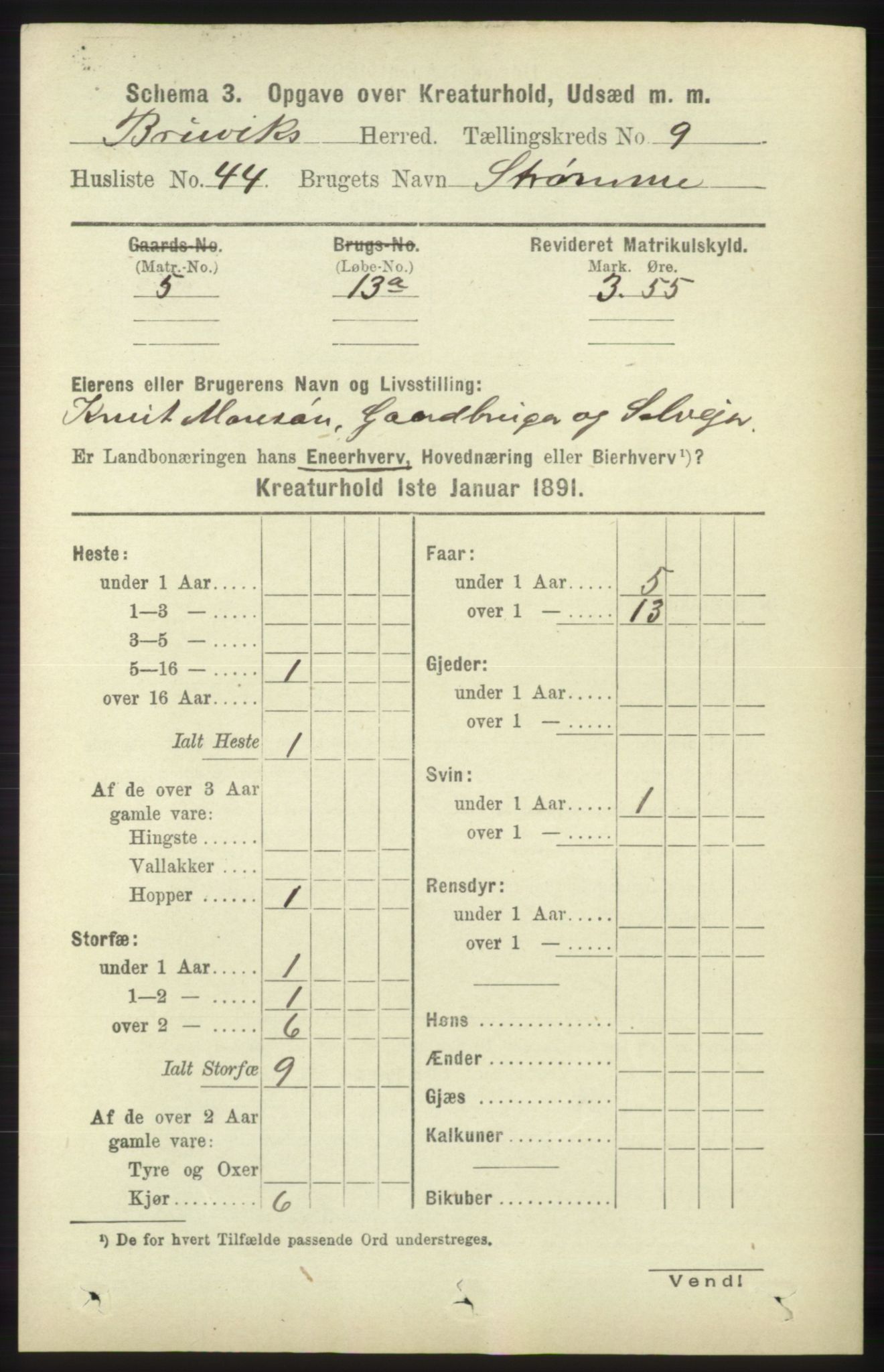 RA, 1891 census for 1251 Bruvik, 1891, p. 4887