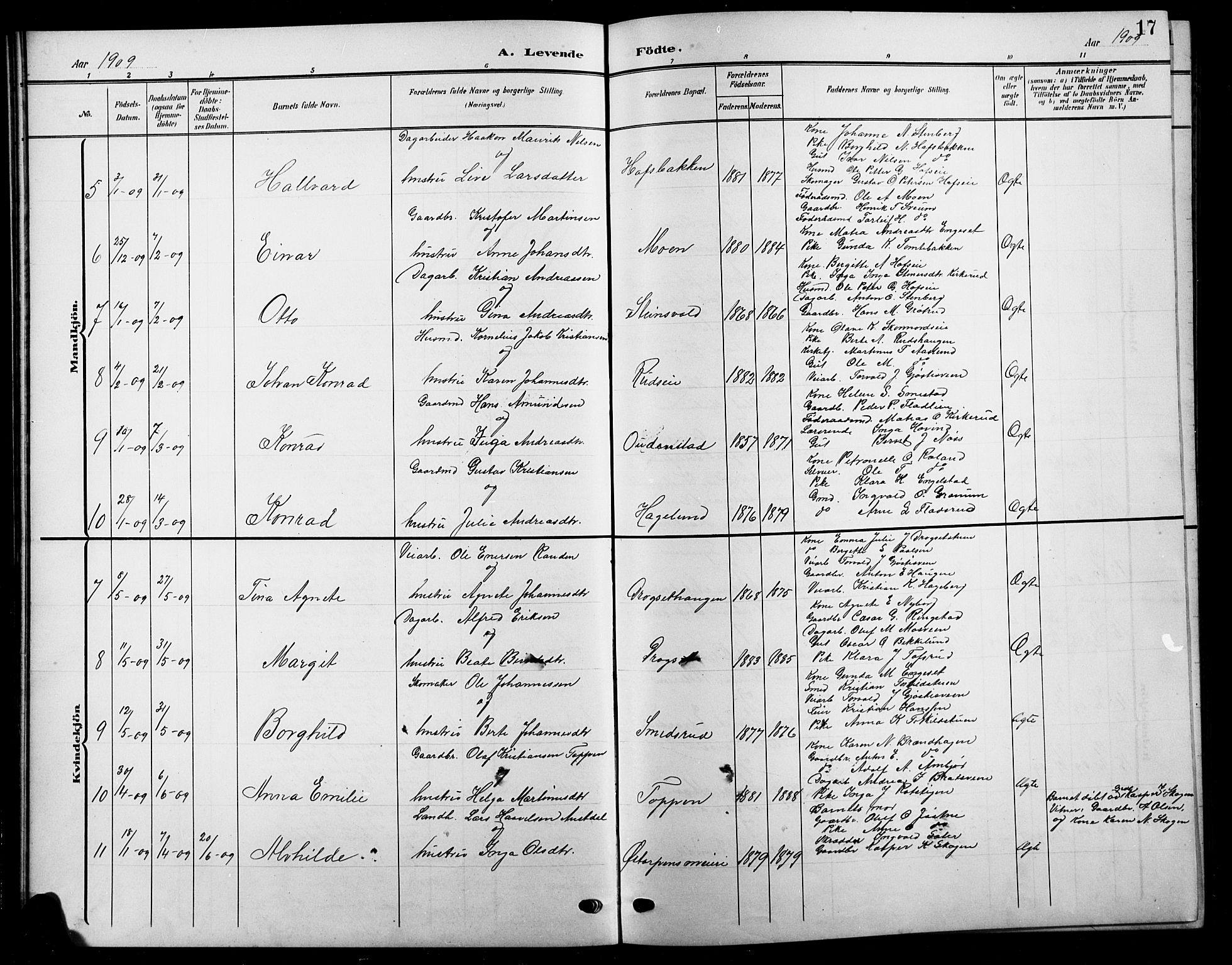 Biri prestekontor, SAH/PREST-096/H/Ha/Hab/L0005: Parish register (copy) no. 5, 1906-1919, p. 17