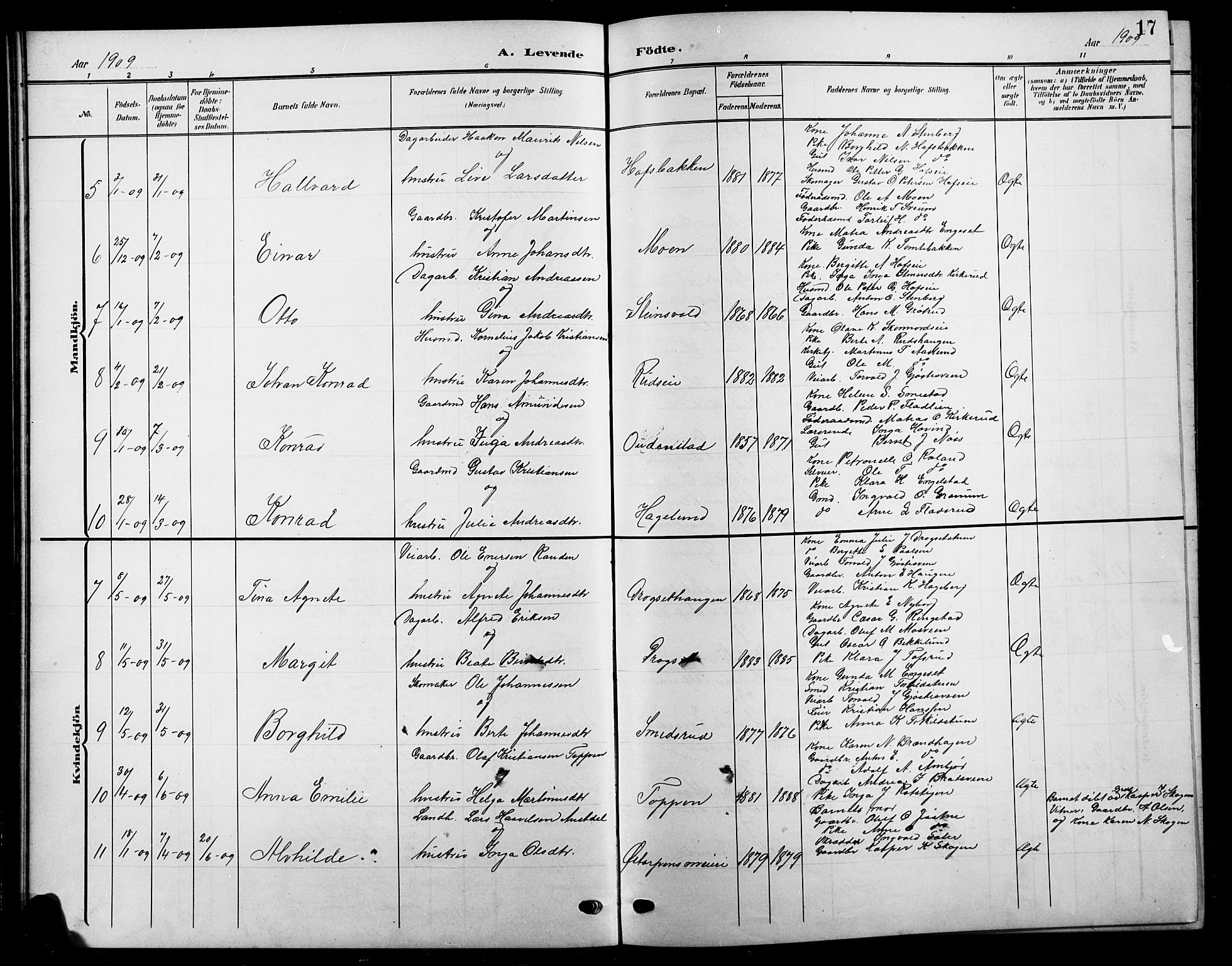 Biri prestekontor, AV/SAH-PREST-096/H/Ha/Hab/L0005: Parish register (copy) no. 5, 1906-1919, p. 17