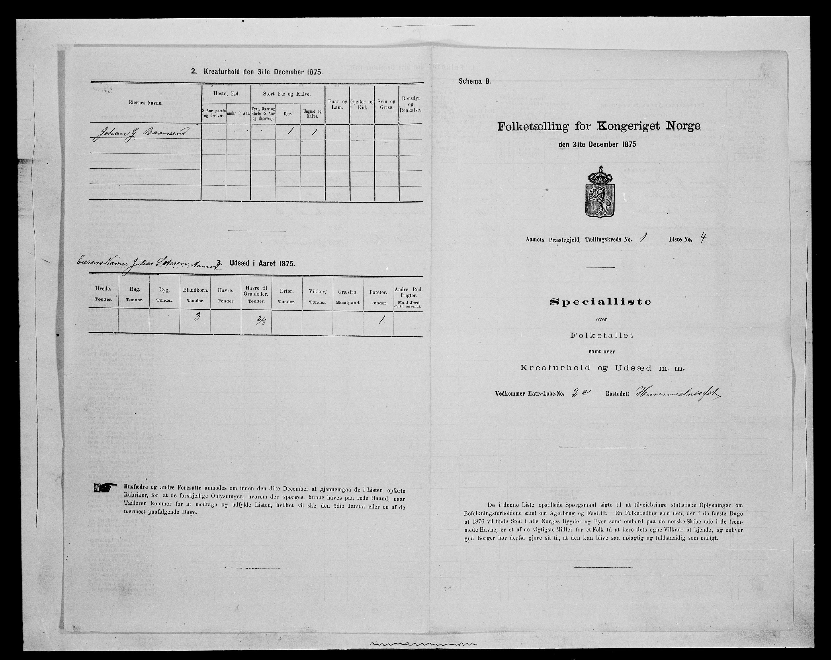 SAH, 1875 census for 0429P Åmot, 1875, p. 94