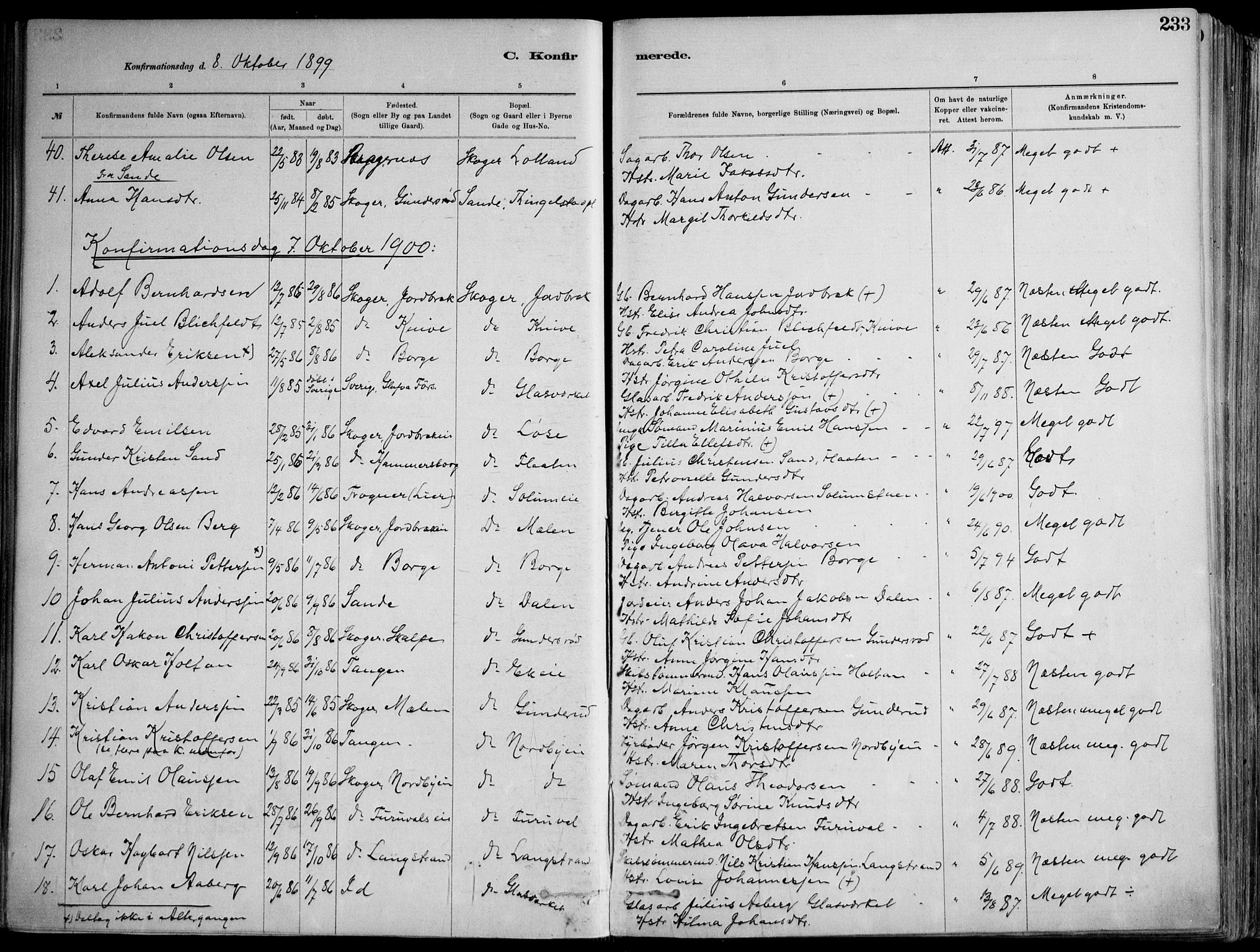 Skoger kirkebøker, AV/SAKO-A-59/F/Fa/L0006: Parish register (official) no. I 6, 1885-1910, p. 233