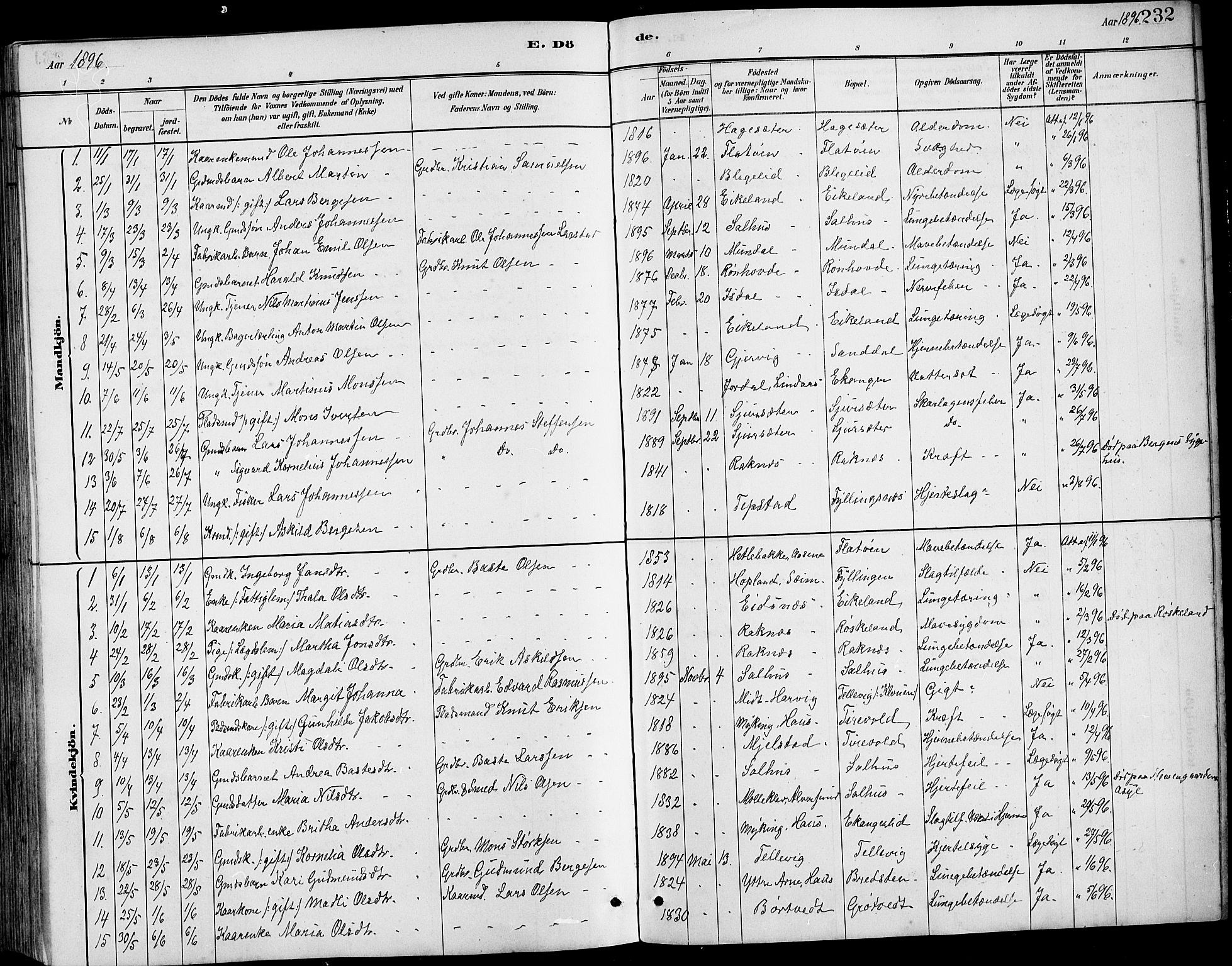 Hamre sokneprestembete, SAB/A-75501/H/Ha/Hab: Parish register (copy) no. B 3, 1881-1898, p. 232