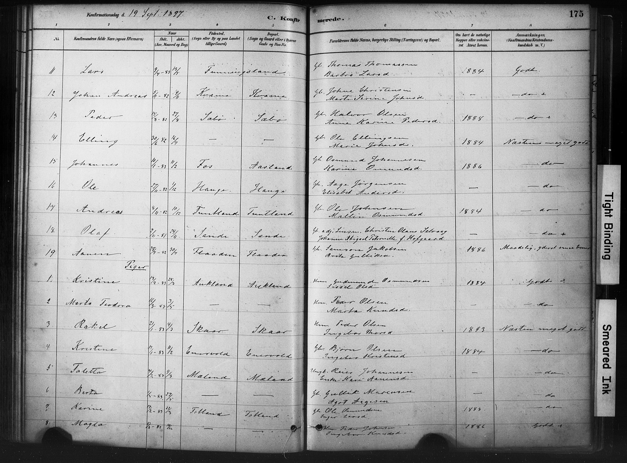 Hjelmeland sokneprestkontor, AV/SAST-A-101843/01/IV/L0014: Parish register (official) no. A 14, 1879-1900, p. 175