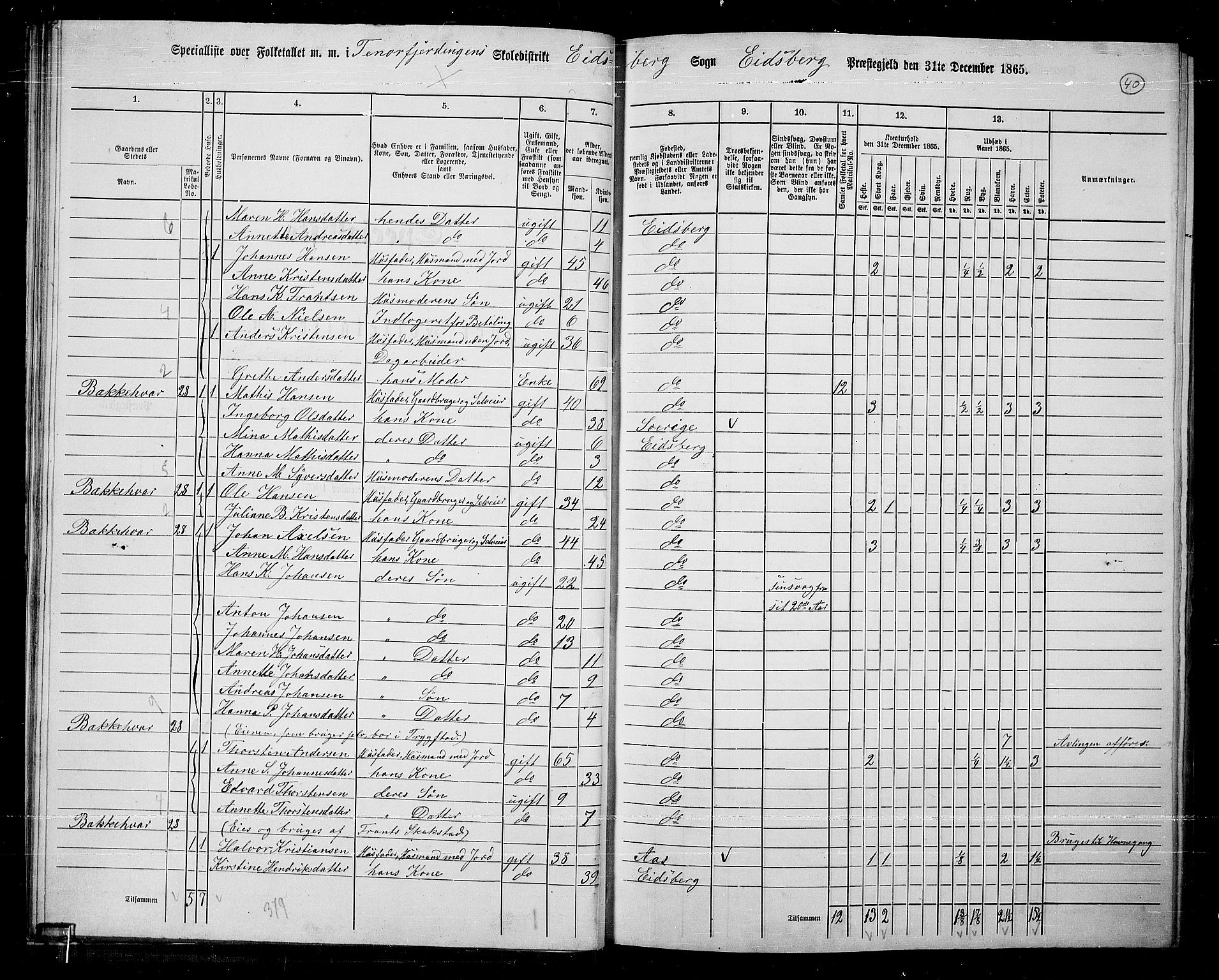 RA, 1865 census for Eidsberg, 1865, p. 35