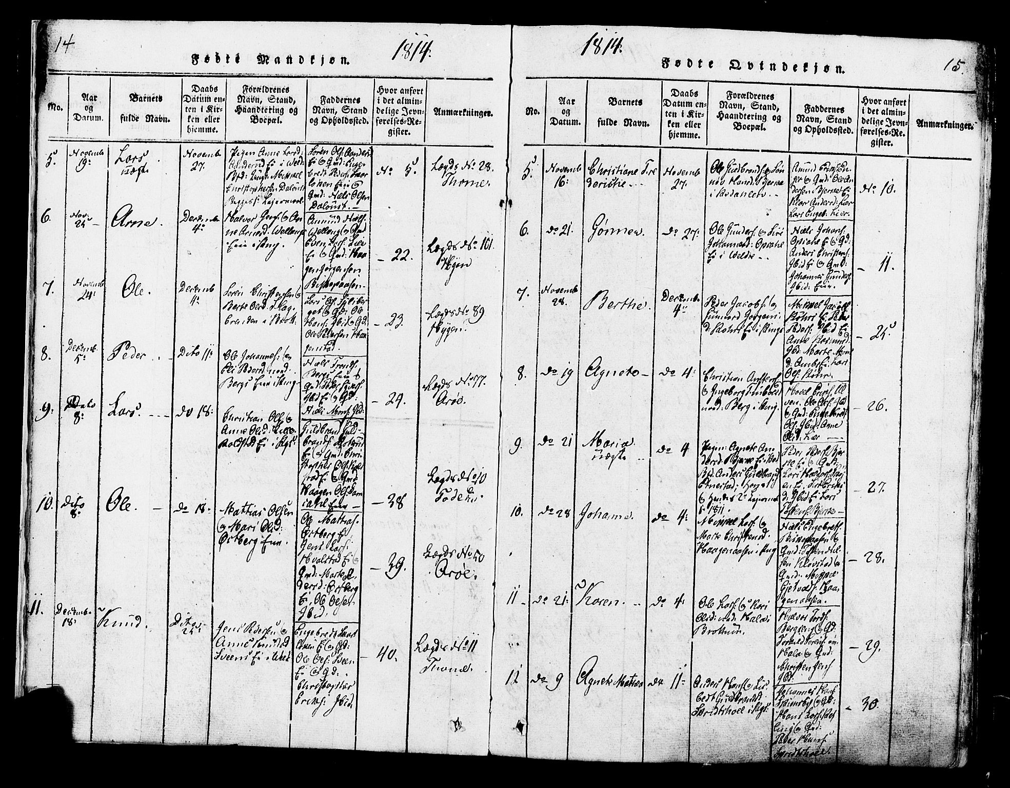 Ringsaker prestekontor, AV/SAH-PREST-014/K/Ka/L0005: Parish register (official) no. 5, 1814-1826, p. 14-15