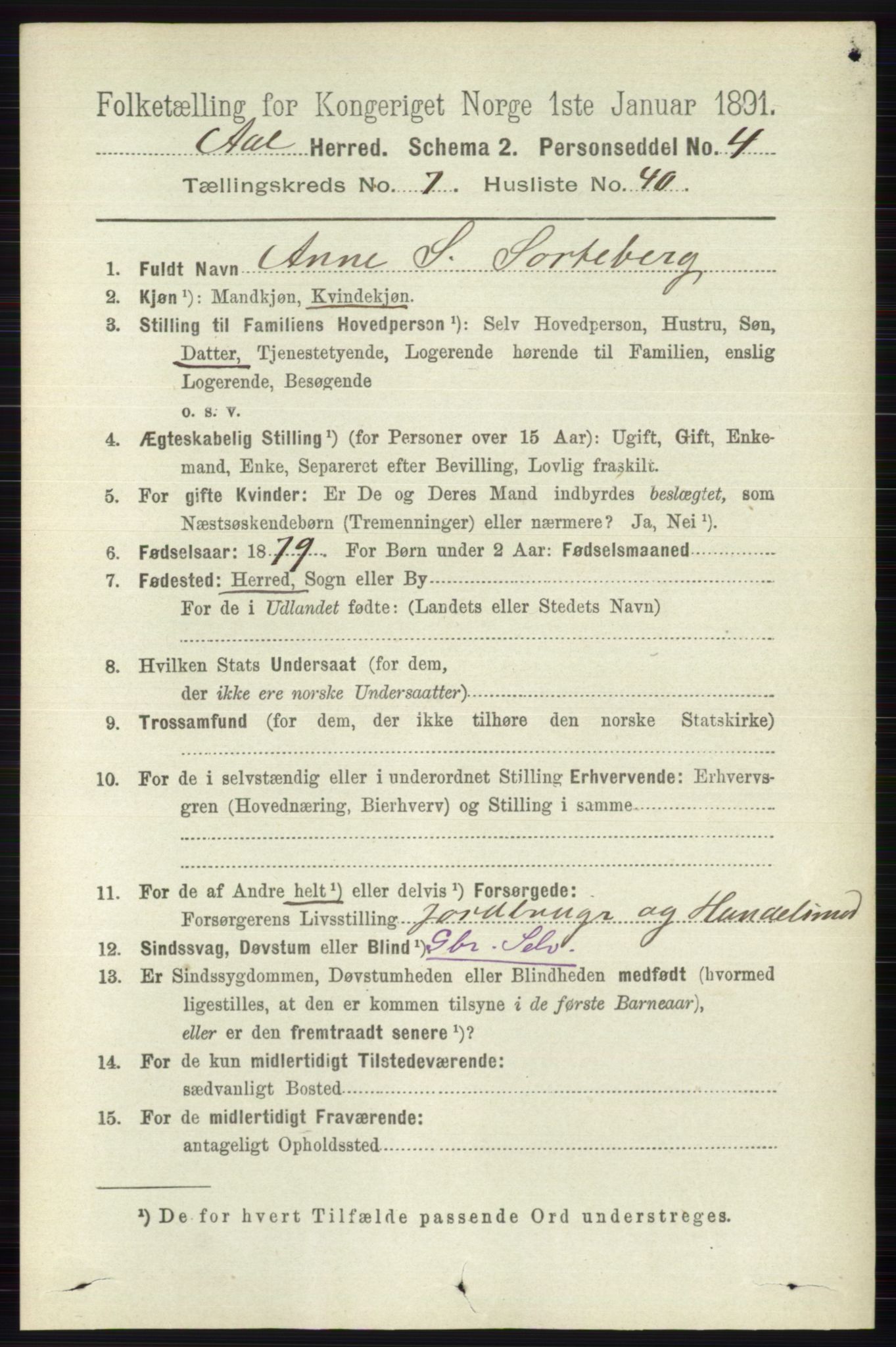 RA, 1891 census for 0619 Ål, 1891, p. 2007