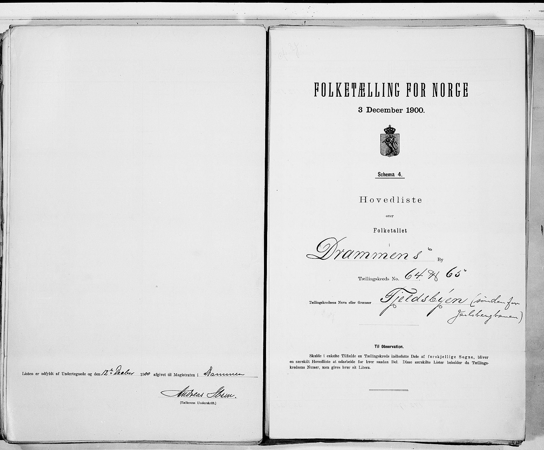 RA, 1900 census for Drammen, 1900, p. 133