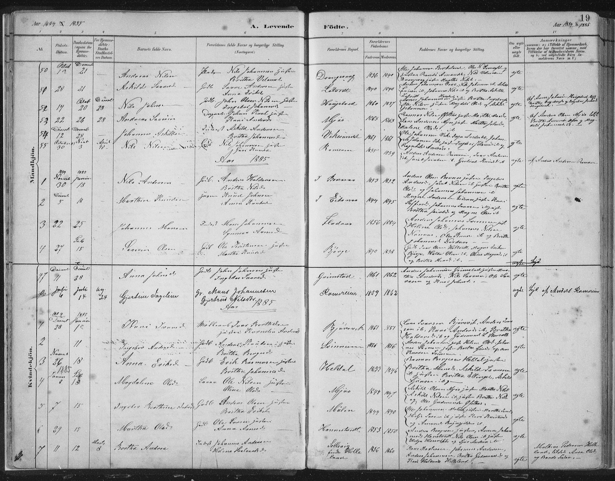 Hosanger sokneprestembete, SAB/A-75801/H/Hab: Parish register (copy) no. A 3 I, 1882-1903, p. 19