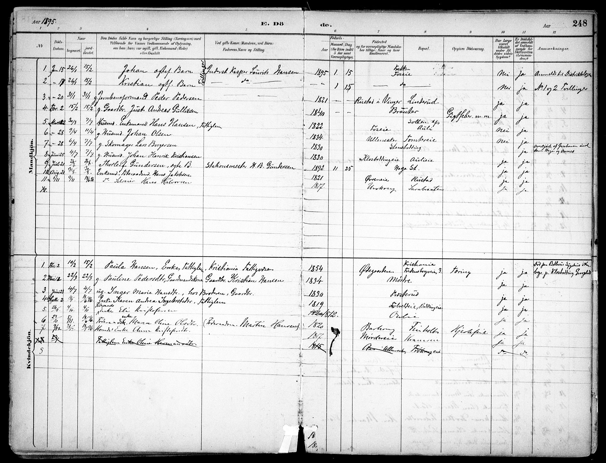 Nes prestekontor Kirkebøker, AV/SAO-A-10410/F/Fc/L0002: Parish register (official) no. IIi 2, 1882-1916, p. 248