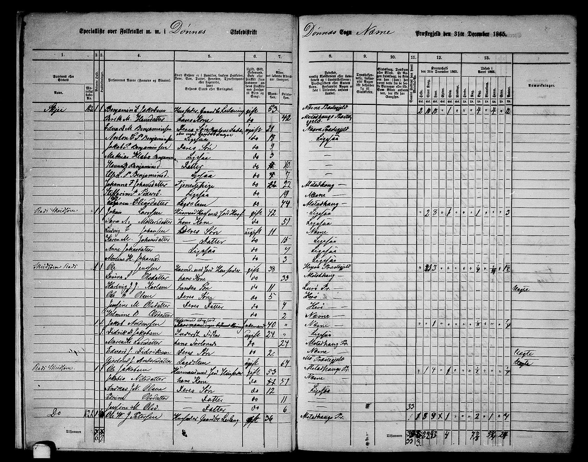 RA, 1865 census for Nesna, 1865, p. 14