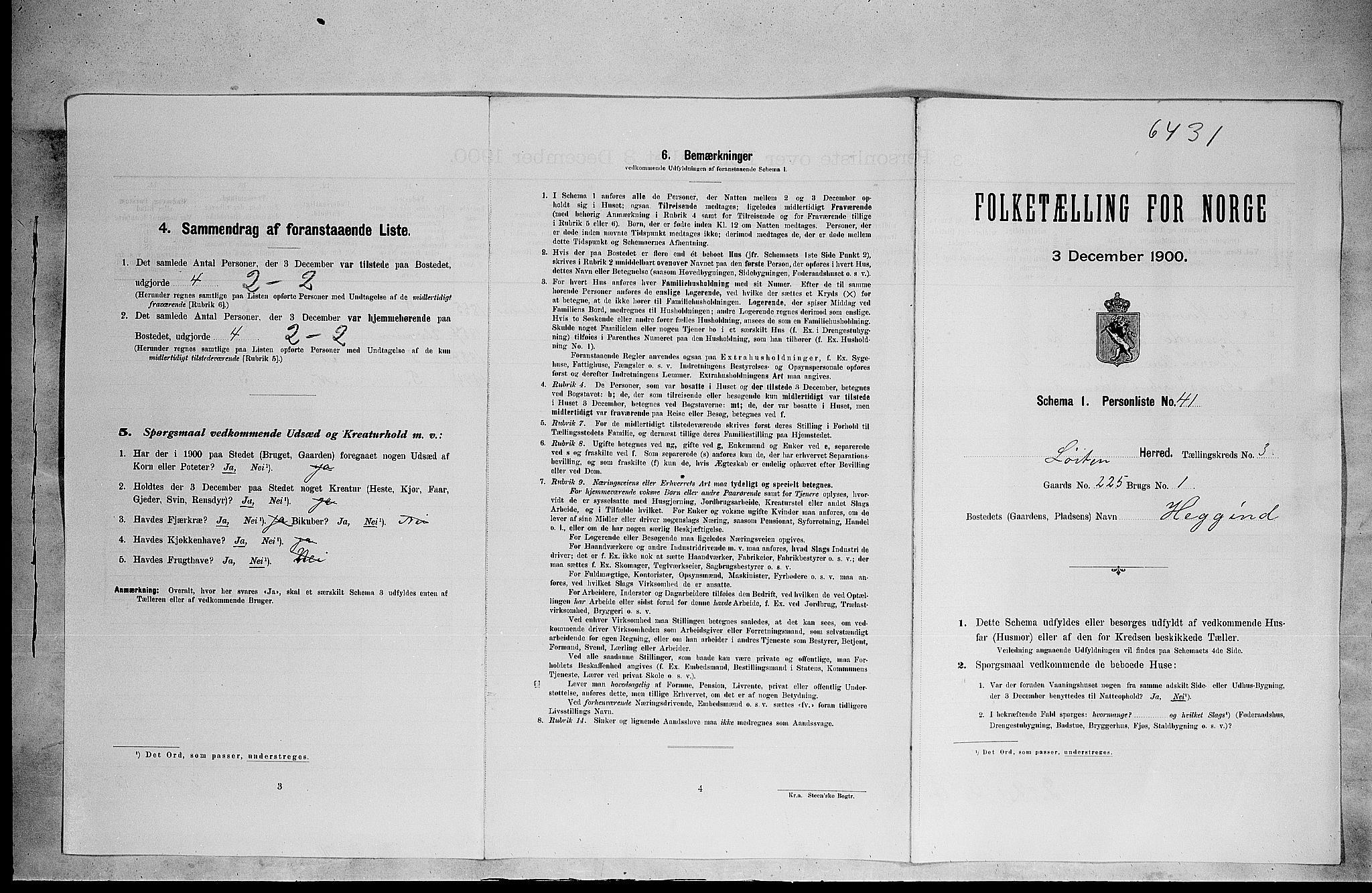 SAH, 1900 census for Løten, 1900, p. 866