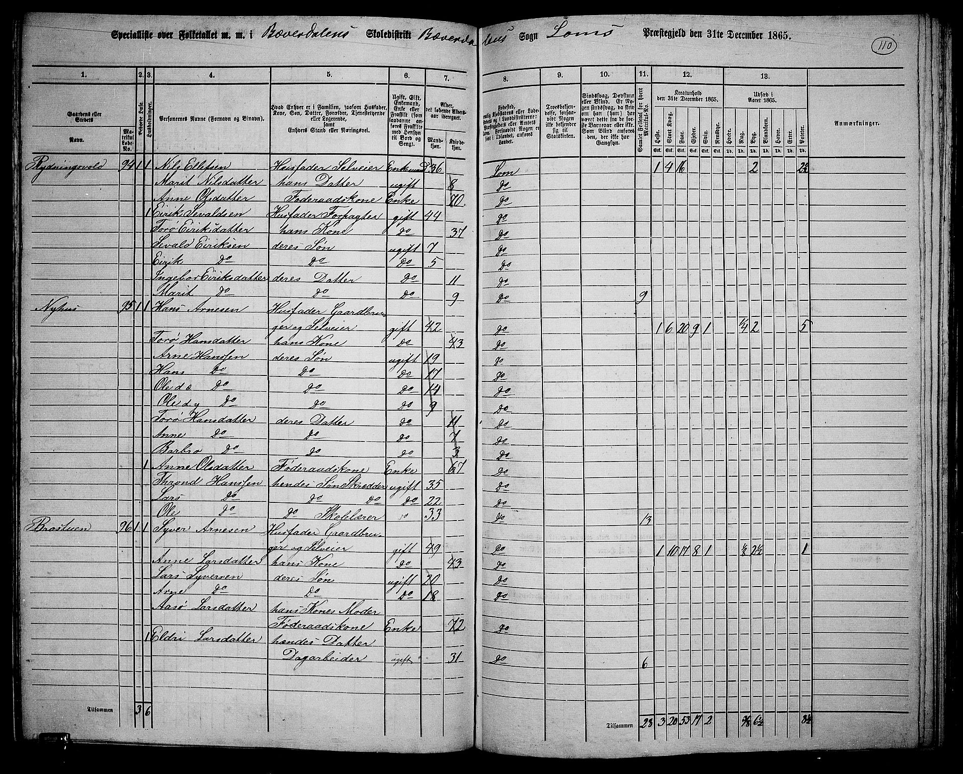 RA, 1865 census for Lom, 1865, p. 102