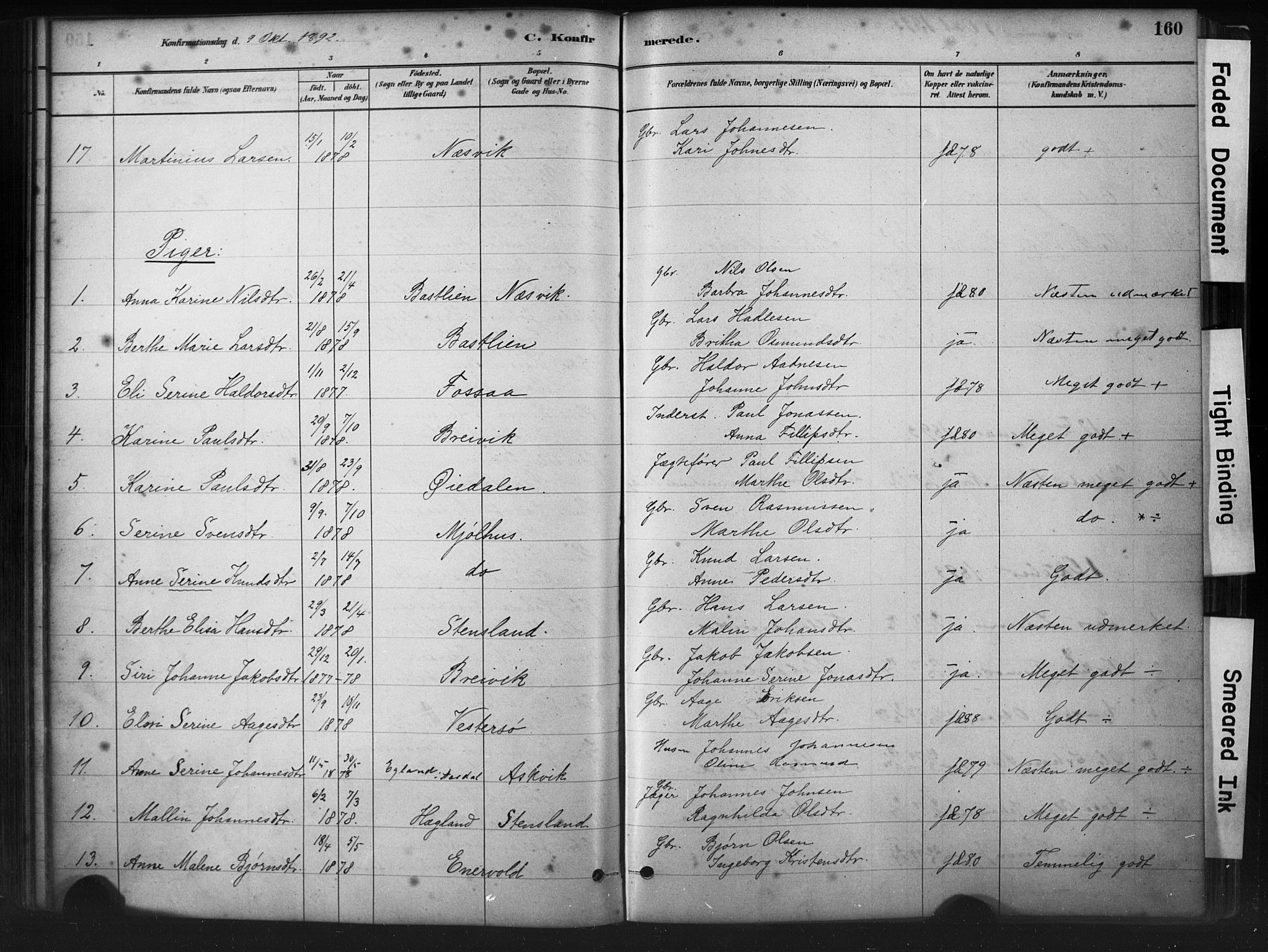 Hjelmeland sokneprestkontor, AV/SAST-A-101843/01/IV/L0014: Parish register (official) no. A 14, 1879-1900, p. 160