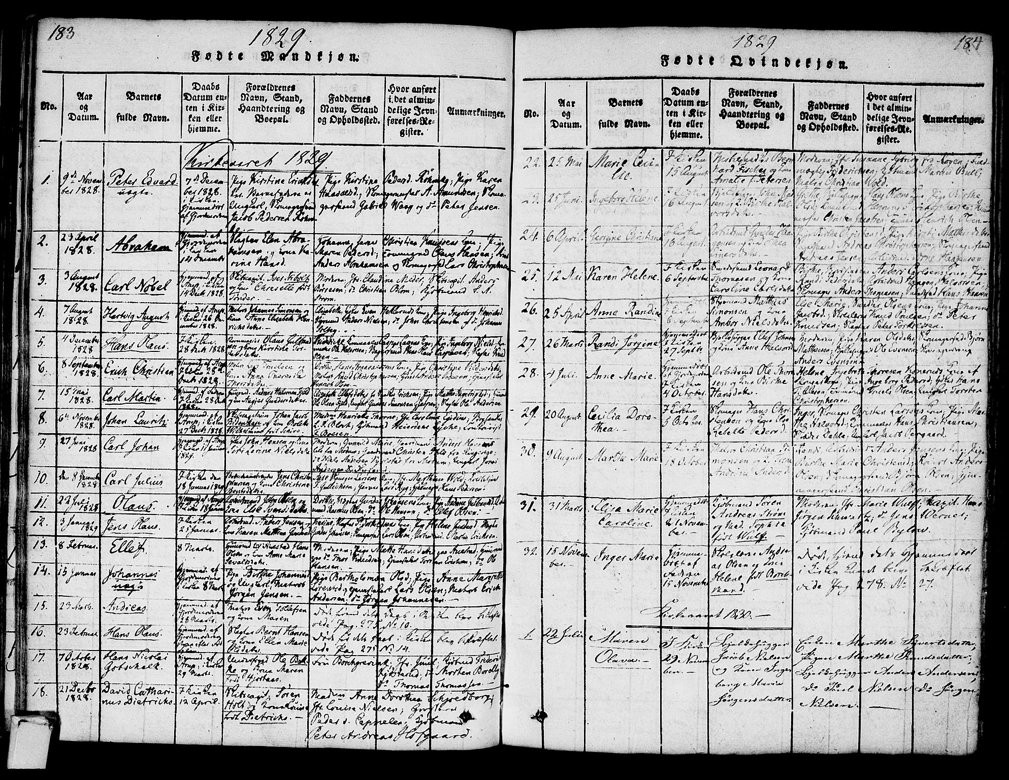 Strømsø kirkebøker, AV/SAKO-A-246/F/Fa/L0011: Parish register (official) no. I 11, 1815-1829, p. 183-184