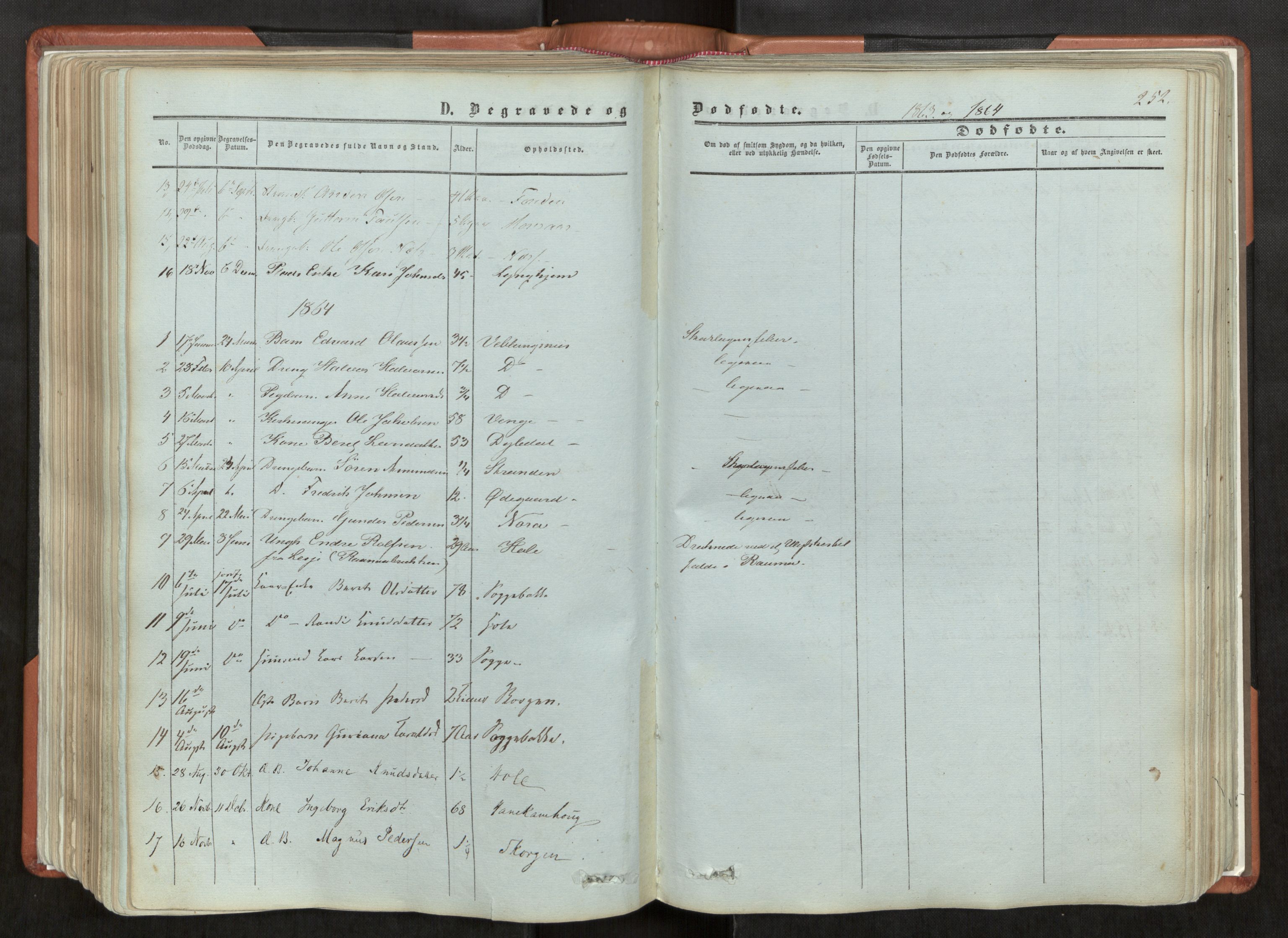 Ministerialprotokoller, klokkerbøker og fødselsregistre - Møre og Romsdal, SAT/A-1454/544/L0572: Parish register (official) no. 544A05, 1854-1886, p. 252