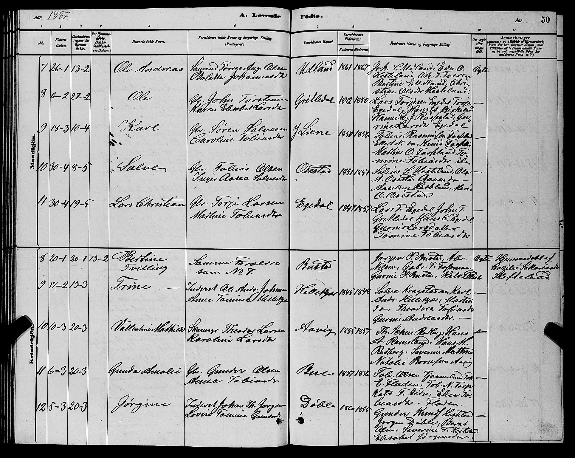 Sør-Audnedal sokneprestkontor, AV/SAK-1111-0039/F/Fb/Fbb/L0005: Parish register (copy) no. B 5, 1880-1892, p. 50