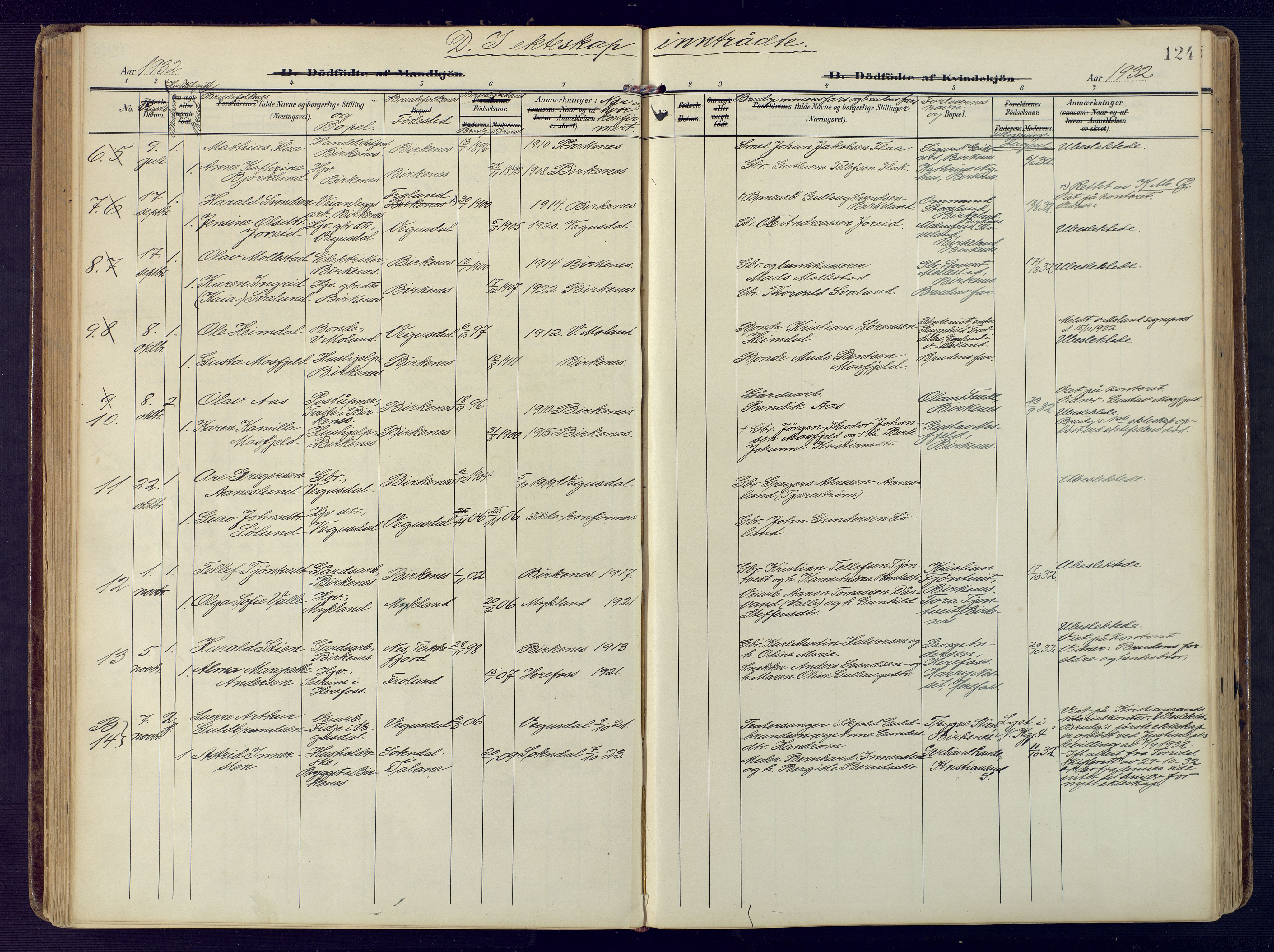 Birkenes sokneprestkontor, SAK/1111-0004/F/Fa/L0006: Parish register (official) no. A 6, 1908-1932, p. 124
