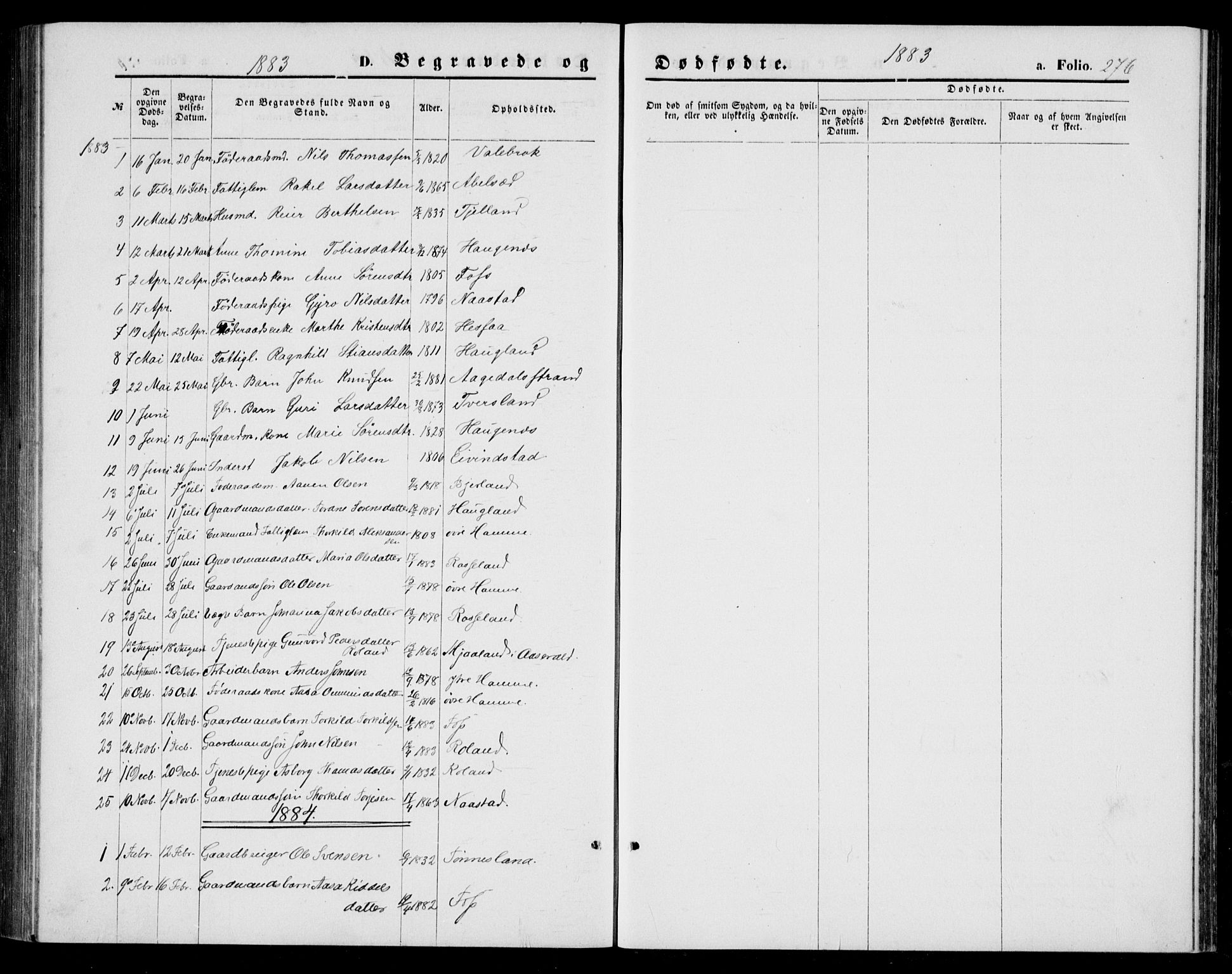 Bjelland sokneprestkontor, AV/SAK-1111-0005/F/Fb/Fba/L0004: Parish register (copy) no. B 4, 1869-1886, p. 276