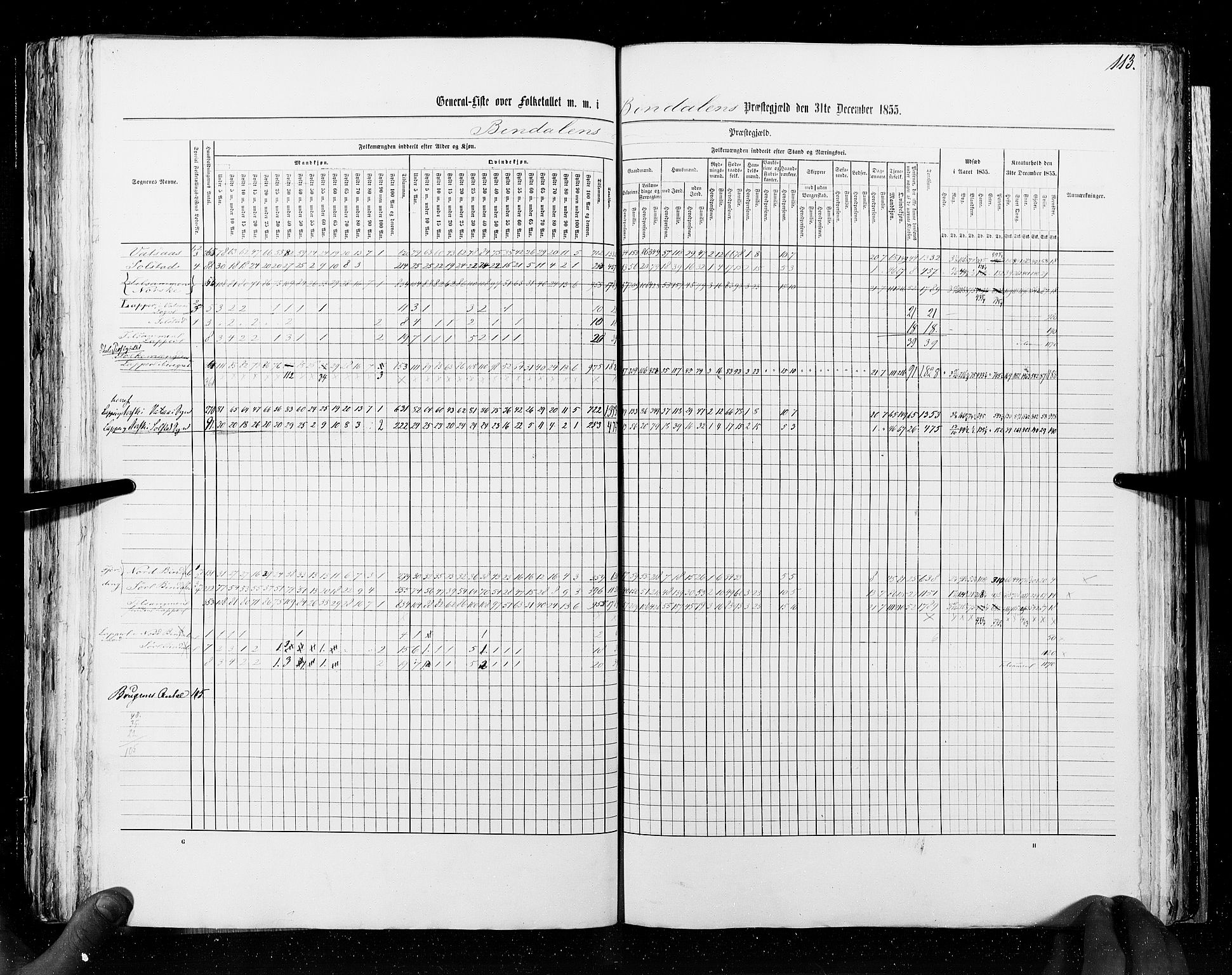 RA, Census 1855, vol. 6A: Nordre Trondhjem amt og Nordland amt, 1855, p. 113