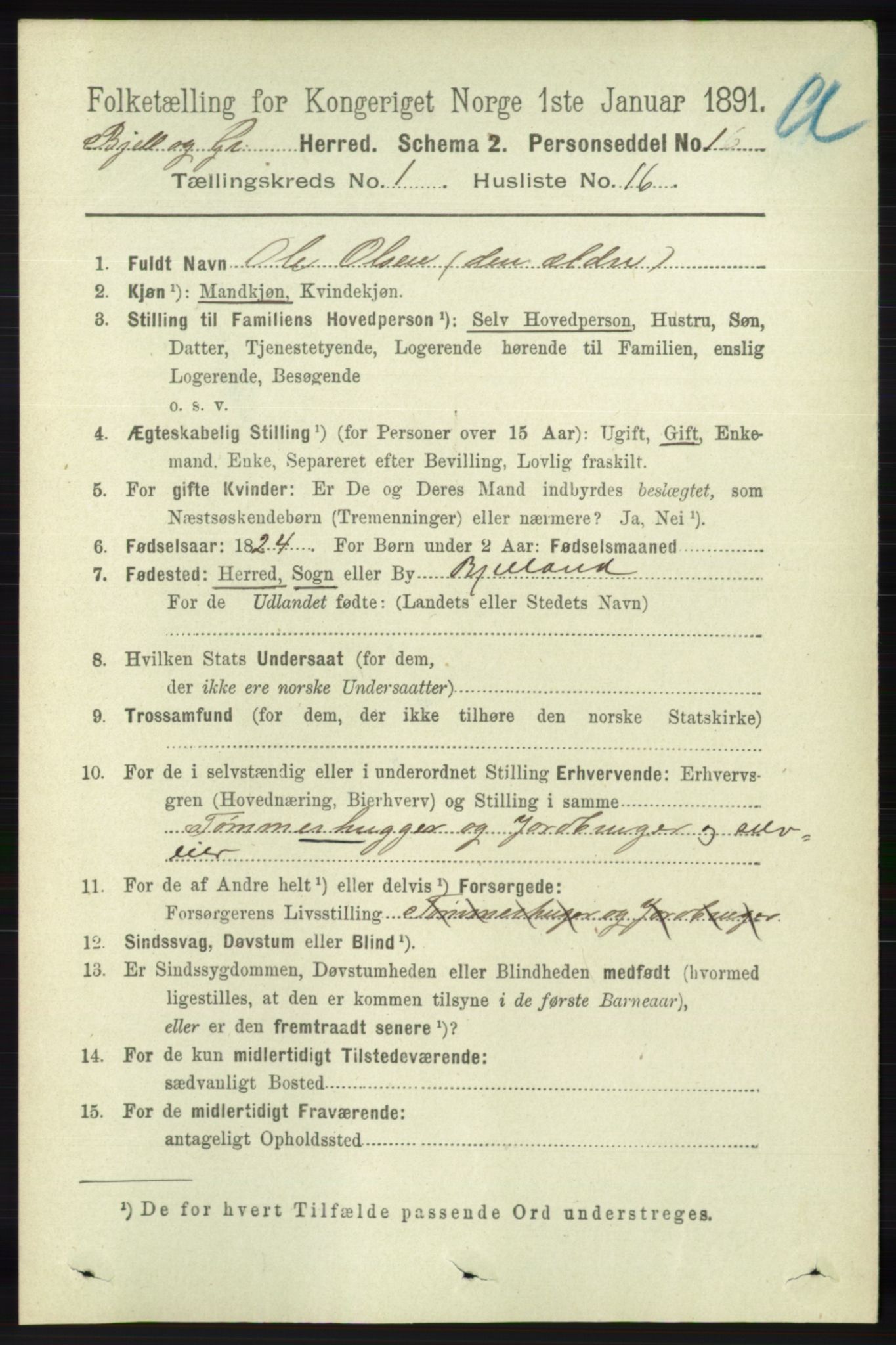 RA, 1891 census for 1024 Bjelland og Grindheim, 1891, p. 126