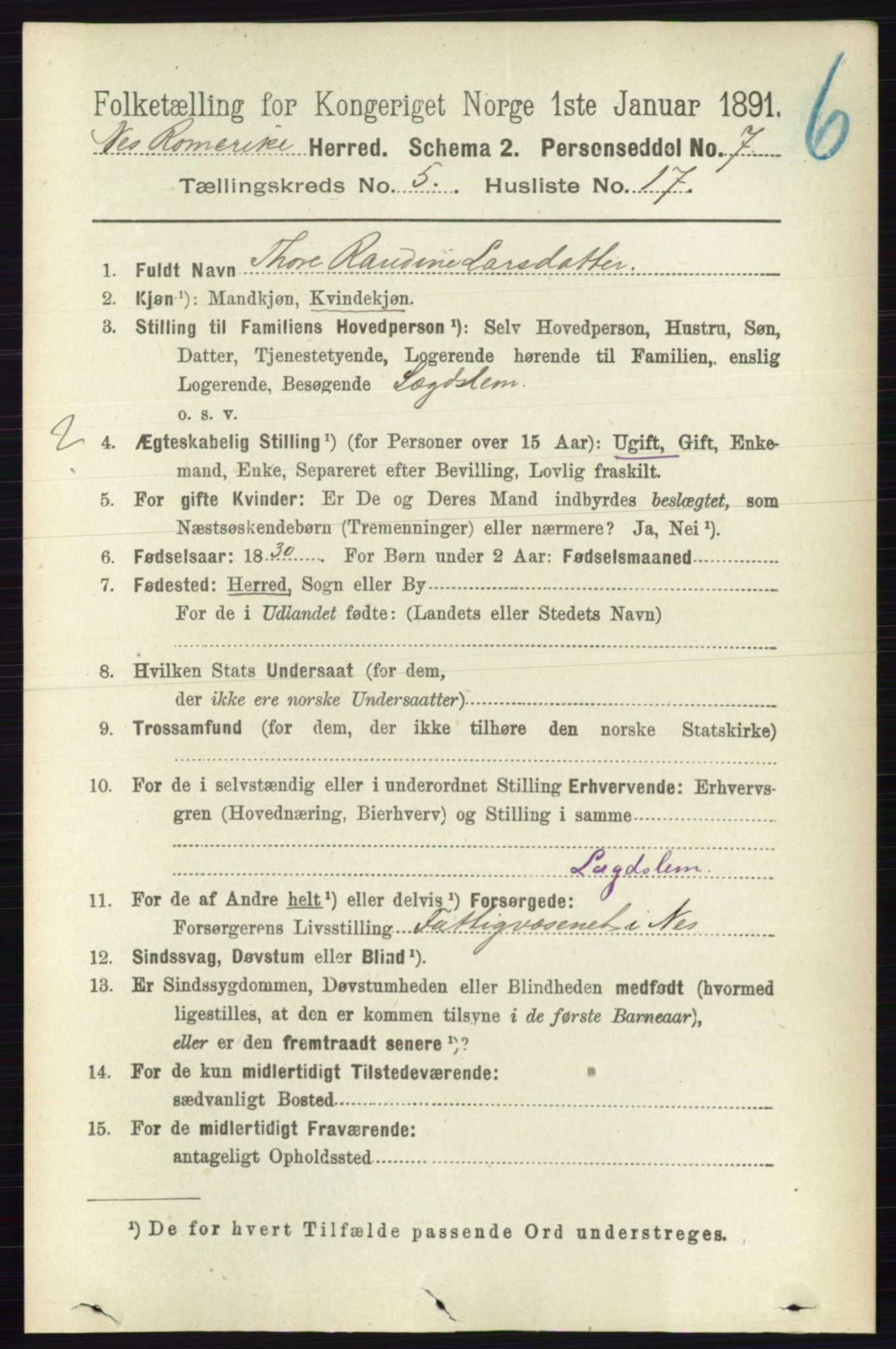 RA, 1891 census for 0236 Nes, 1891, p. 2887