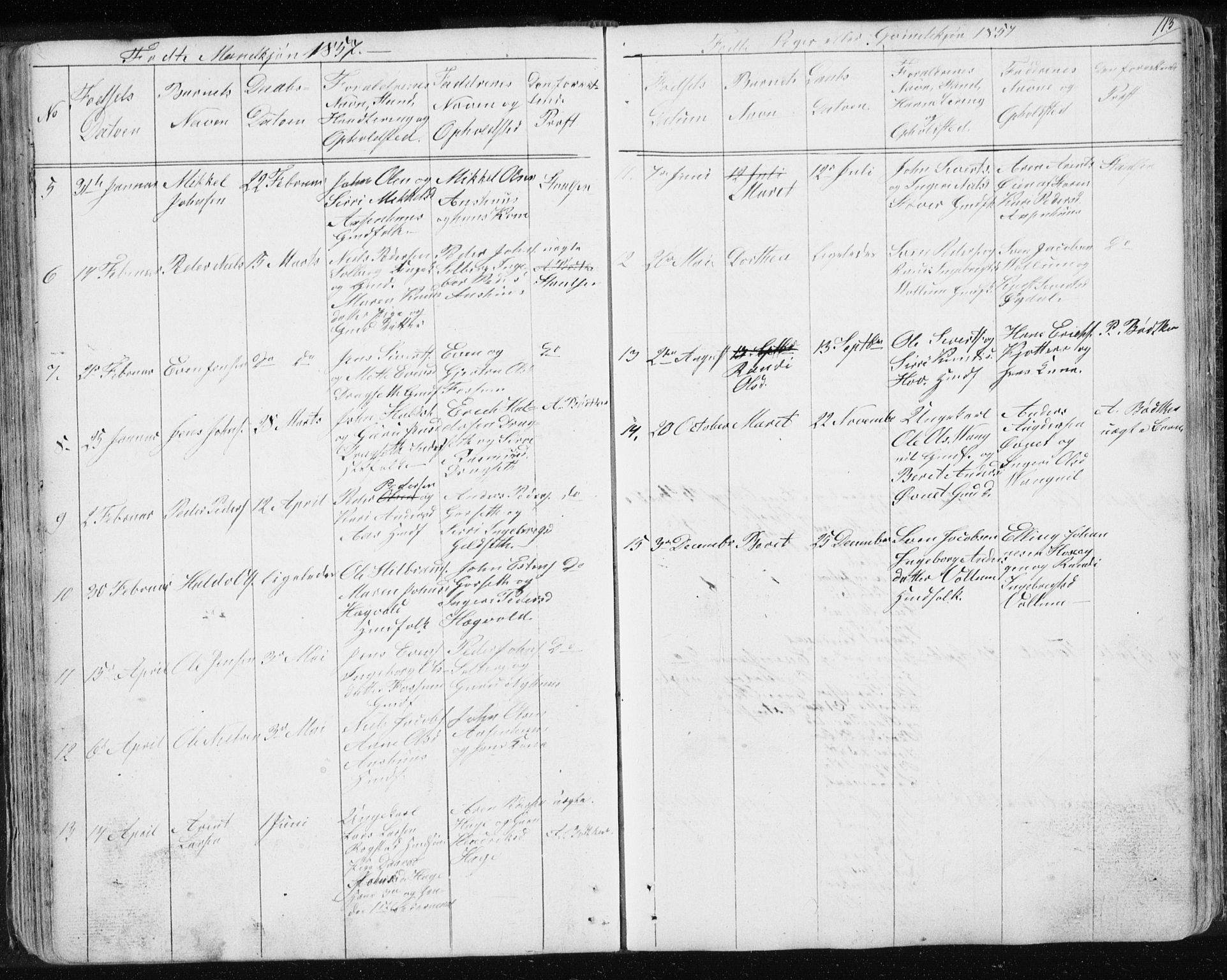 Ministerialprotokoller, klokkerbøker og fødselsregistre - Sør-Trøndelag, SAT/A-1456/689/L1043: Parish register (copy) no. 689C02, 1816-1892, p. 113