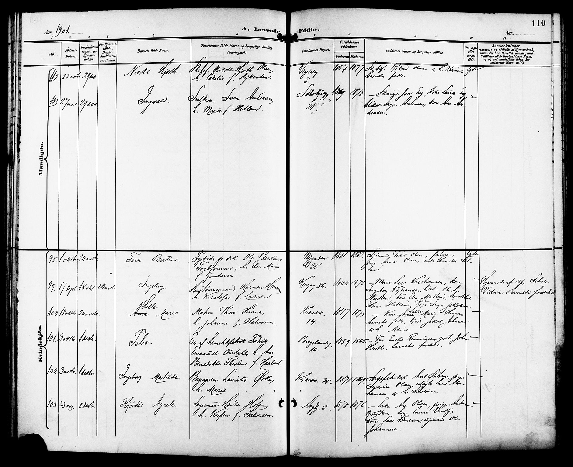 St. Petri sokneprestkontor, AV/SAST-A-101813/001/30/30BB/L0008: Parish register (copy) no. B 8, 1897-1905, p. 110