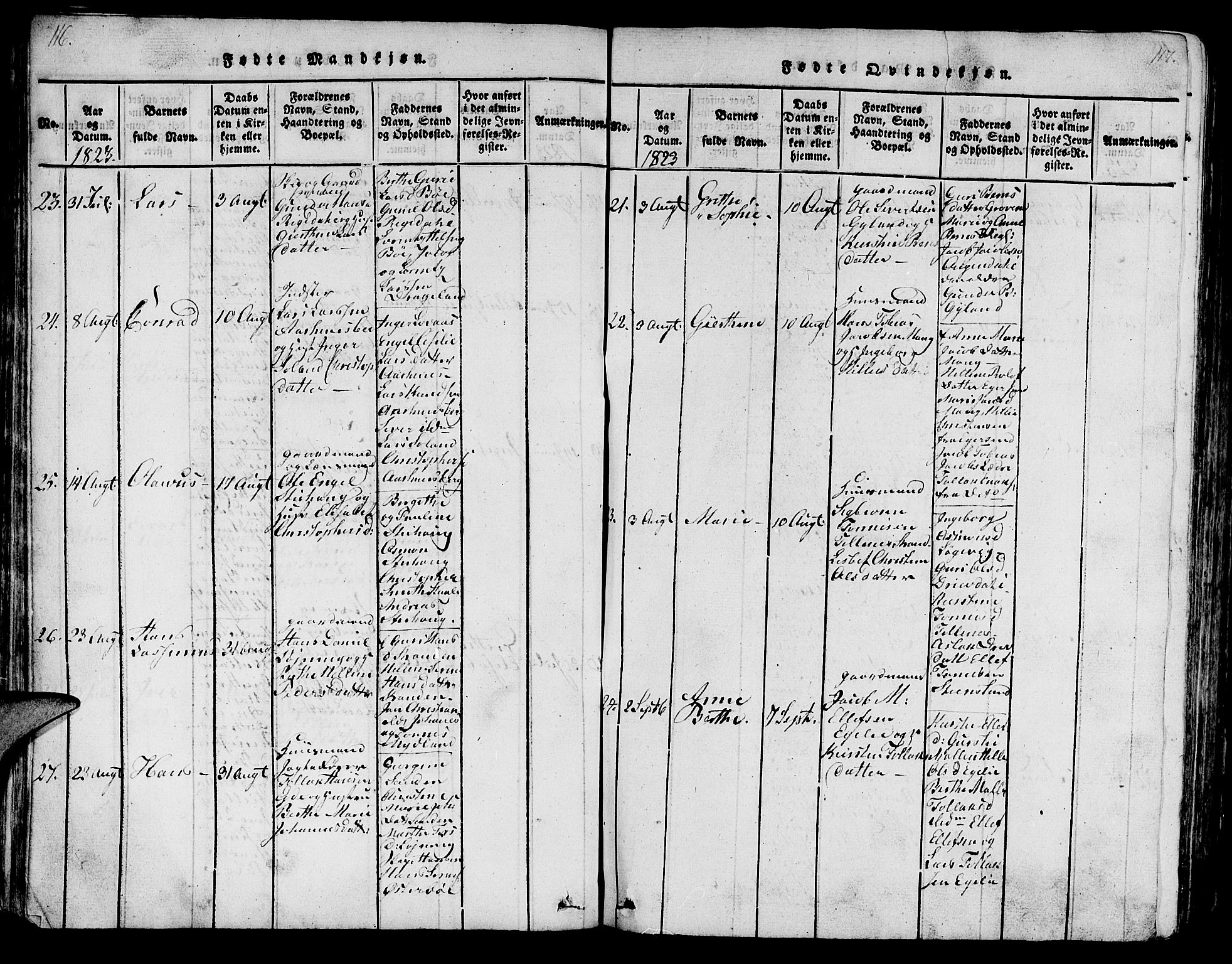 Sokndal sokneprestkontor, AV/SAST-A-101808: Parish register (copy) no. B 1, 1815-1848, p. 116-117