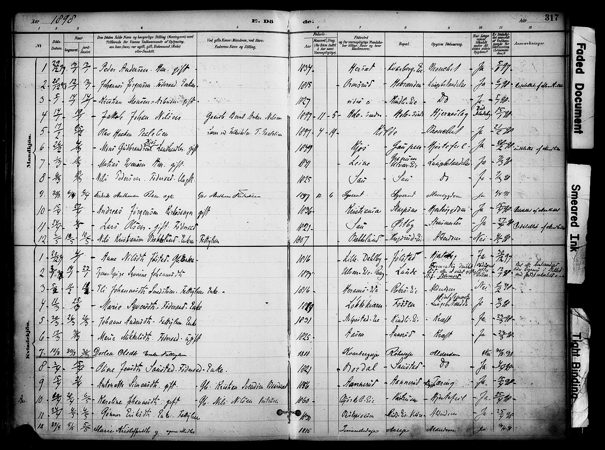 Ringsaker prestekontor, AV/SAH-PREST-014/K/Ka/L0017: Parish register (official) no. 17, 1891-1902, p. 317