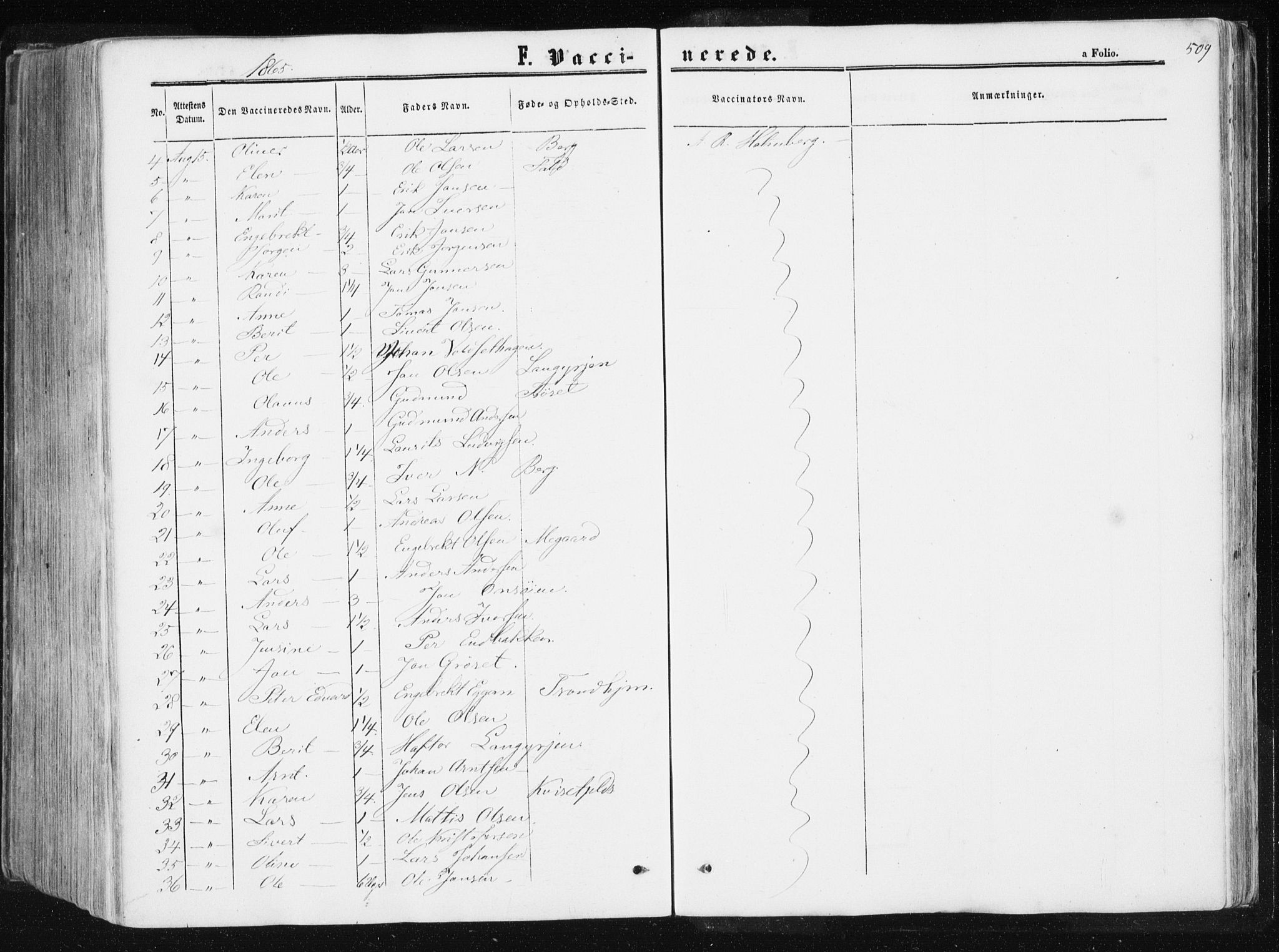 Ministerialprotokoller, klokkerbøker og fødselsregistre - Sør-Trøndelag, AV/SAT-A-1456/612/L0377: Parish register (official) no. 612A09, 1859-1877, p. 509