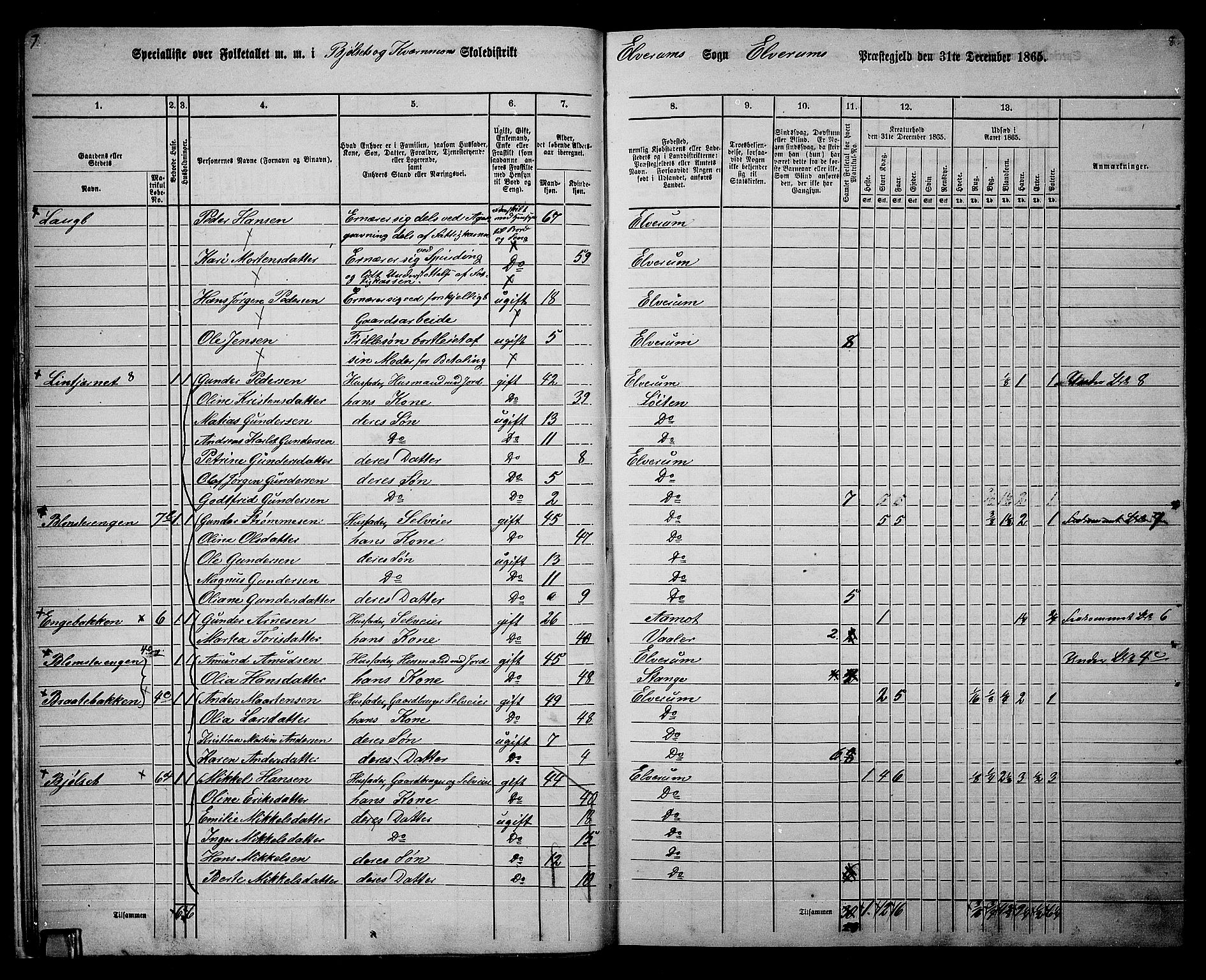 RA, 1865 census for Elverum, 1865, p. 15