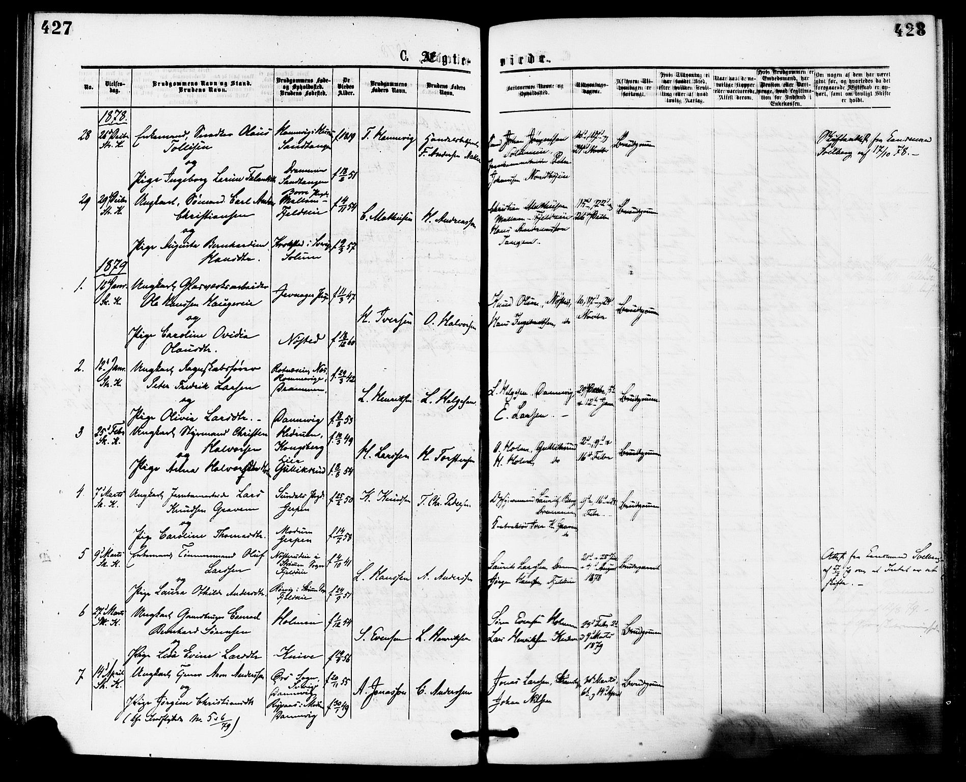 Skoger kirkebøker, AV/SAKO-A-59/F/Fa/L0005: Parish register (official) no. I 5, 1873-1884, p. 427-428