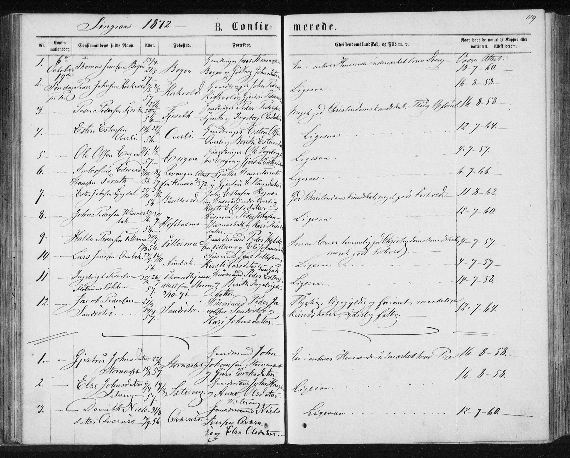 Ministerialprotokoller, klokkerbøker og fødselsregistre - Sør-Trøndelag, AV/SAT-A-1456/685/L0970: Parish register (official) no. 685A08 /2, 1870-1878, p. 119