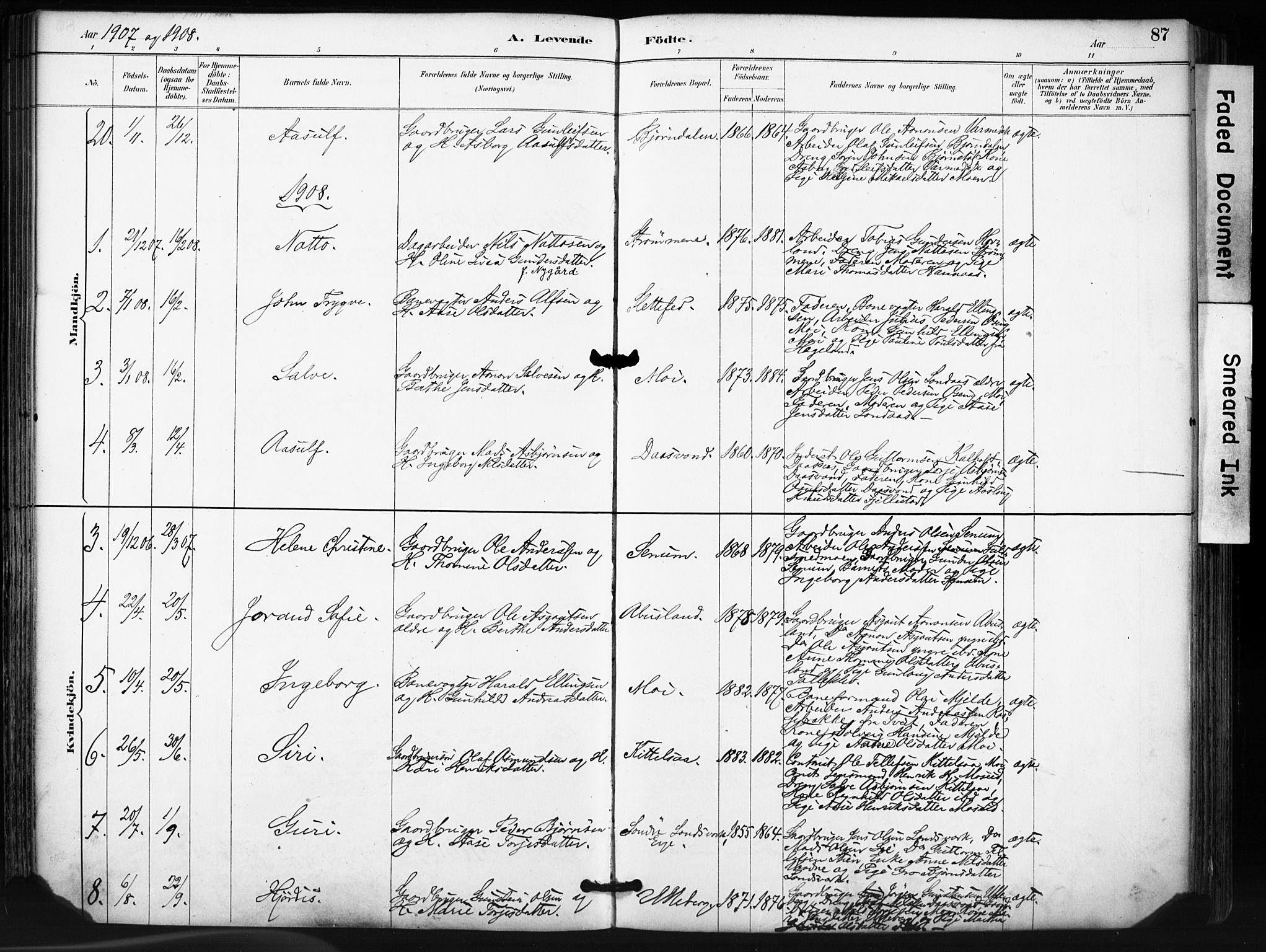 Evje sokneprestkontor, SAK/1111-0008/F/Fa/Fab/L0003: Parish register (official) no. A 3, 1884-1909, p. 87