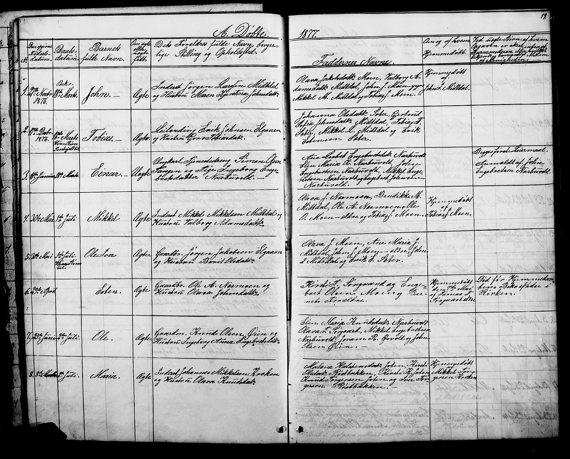 Tolga prestekontor, AV/SAH-PREST-062/L/L0006: Parish register (copy) no. 6, 1864-1894, p. 19