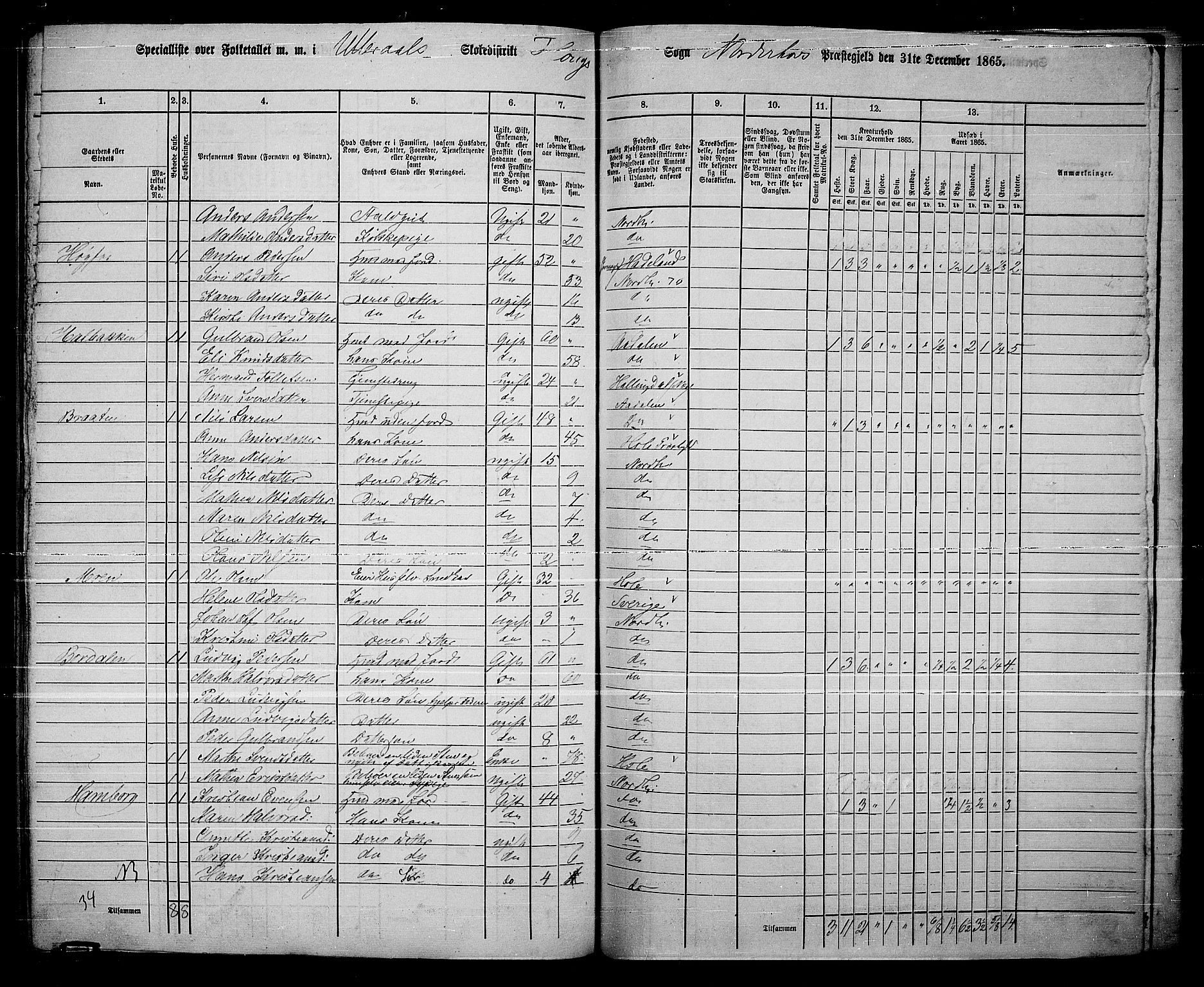 RA, 1865 census for Norderhov/Norderhov, Haug og Lunder, 1865, p. 275