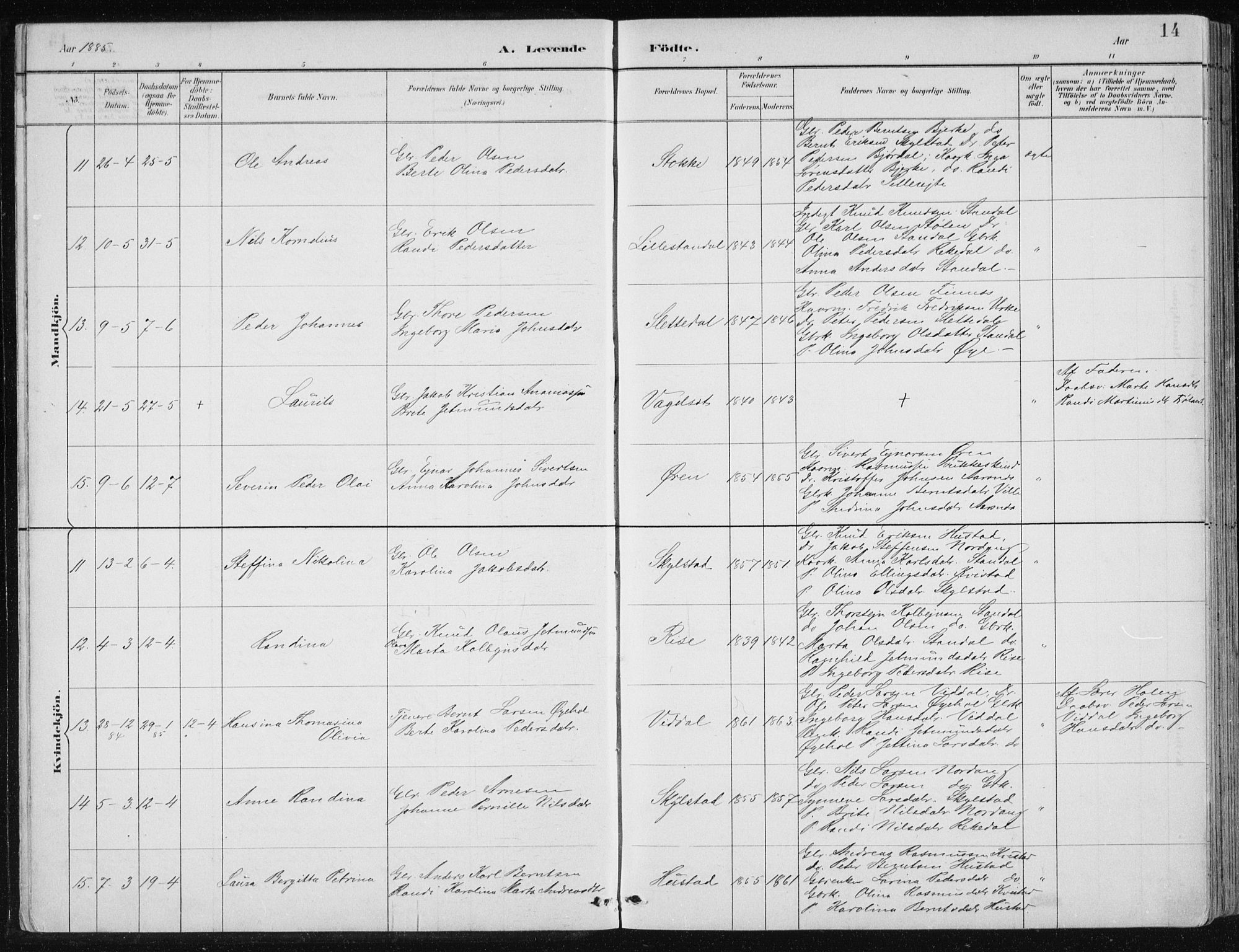 Ministerialprotokoller, klokkerbøker og fødselsregistre - Møre og Romsdal, AV/SAT-A-1454/515/L0215: Parish register (copy) no. 515C02, 1884-1906, p. 14