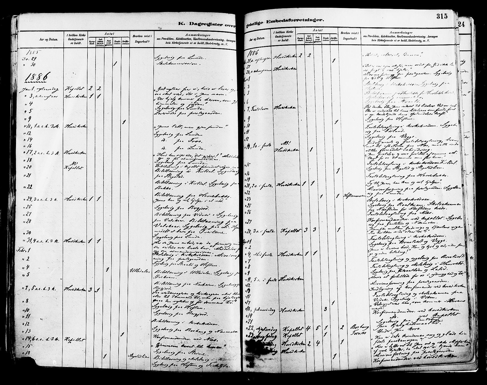 Suldal sokneprestkontor, AV/SAST-A-101845/01/IV/L0011: Parish register (official) no. A 11, 1878-1900, p. 315