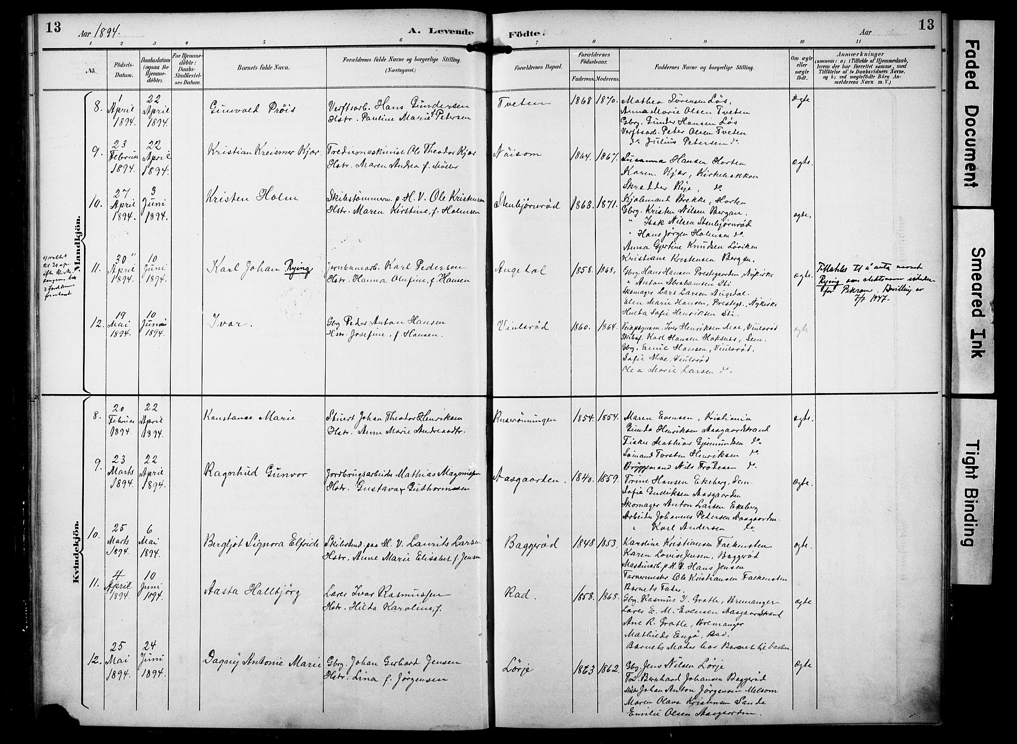 Borre kirkebøker, AV/SAKO-A-338/F/Fa/L0010: Parish register (official) no. I 10, 1892-1896, p. 13