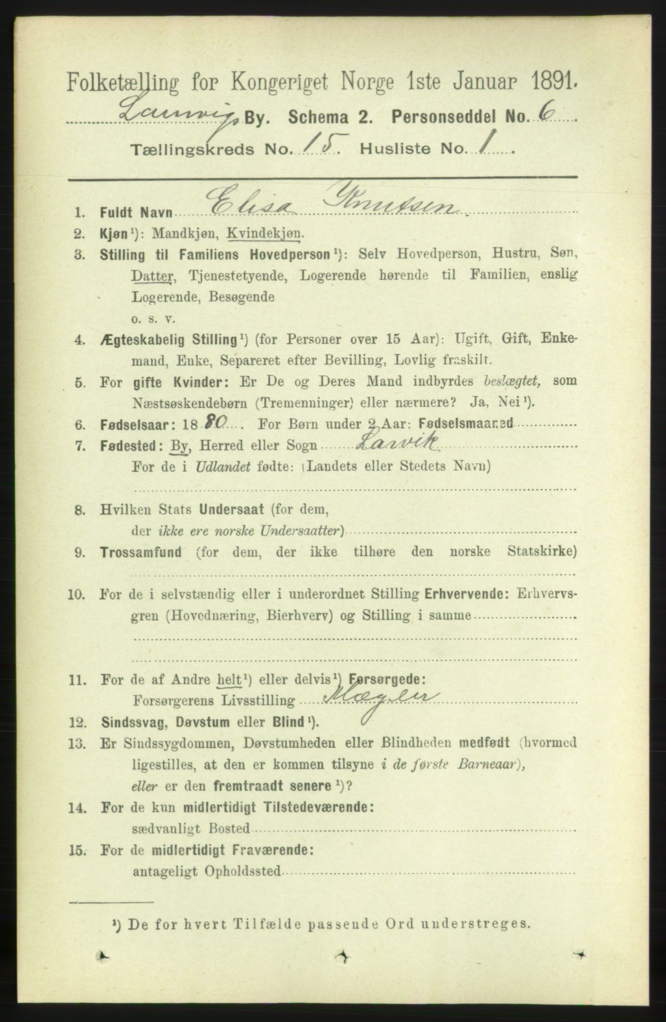 RA, 1891 census for 0707 Larvik, 1891, p. 11334