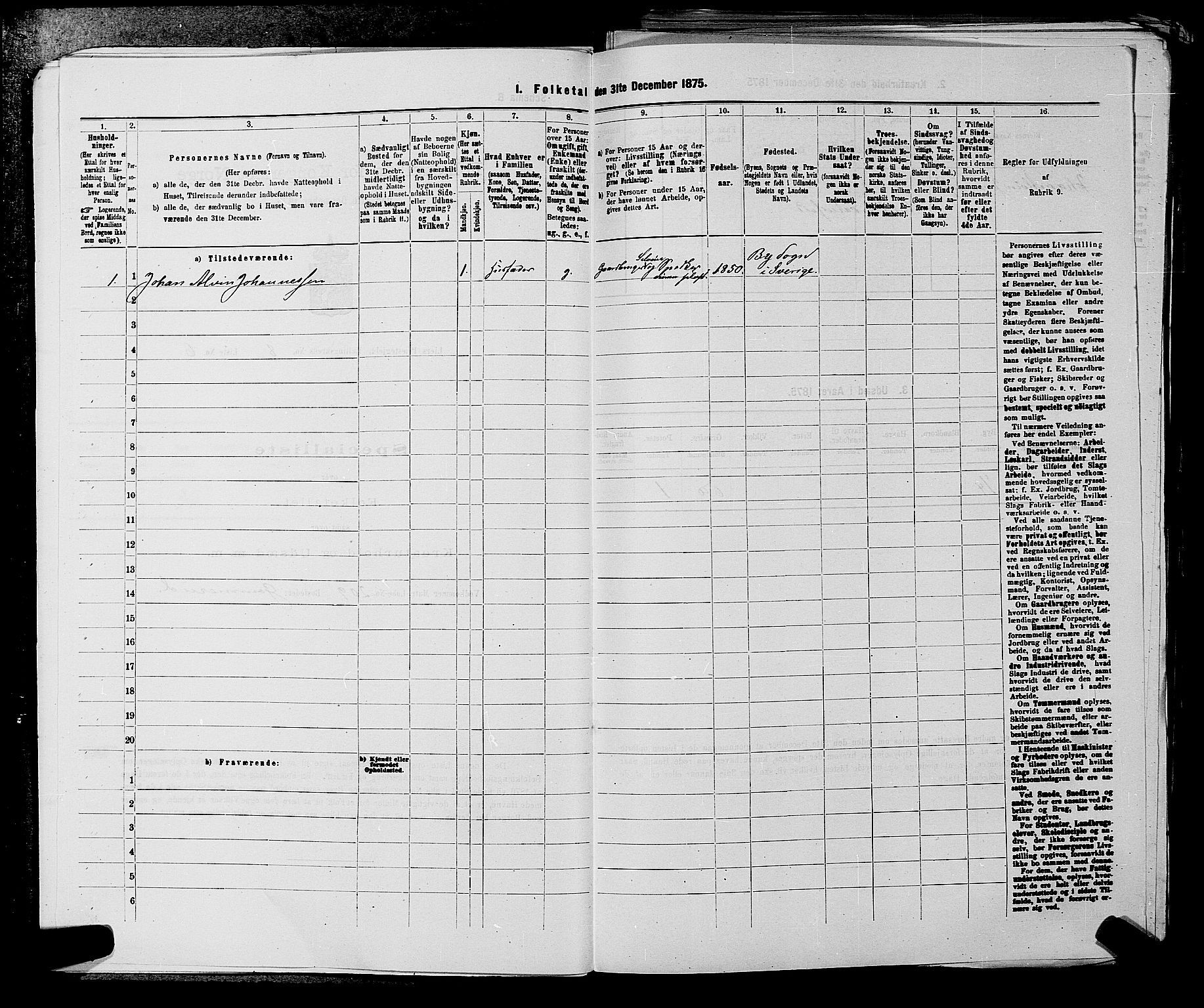 SAKO, 1875 census for 0626P Lier, 1875, p. 1317