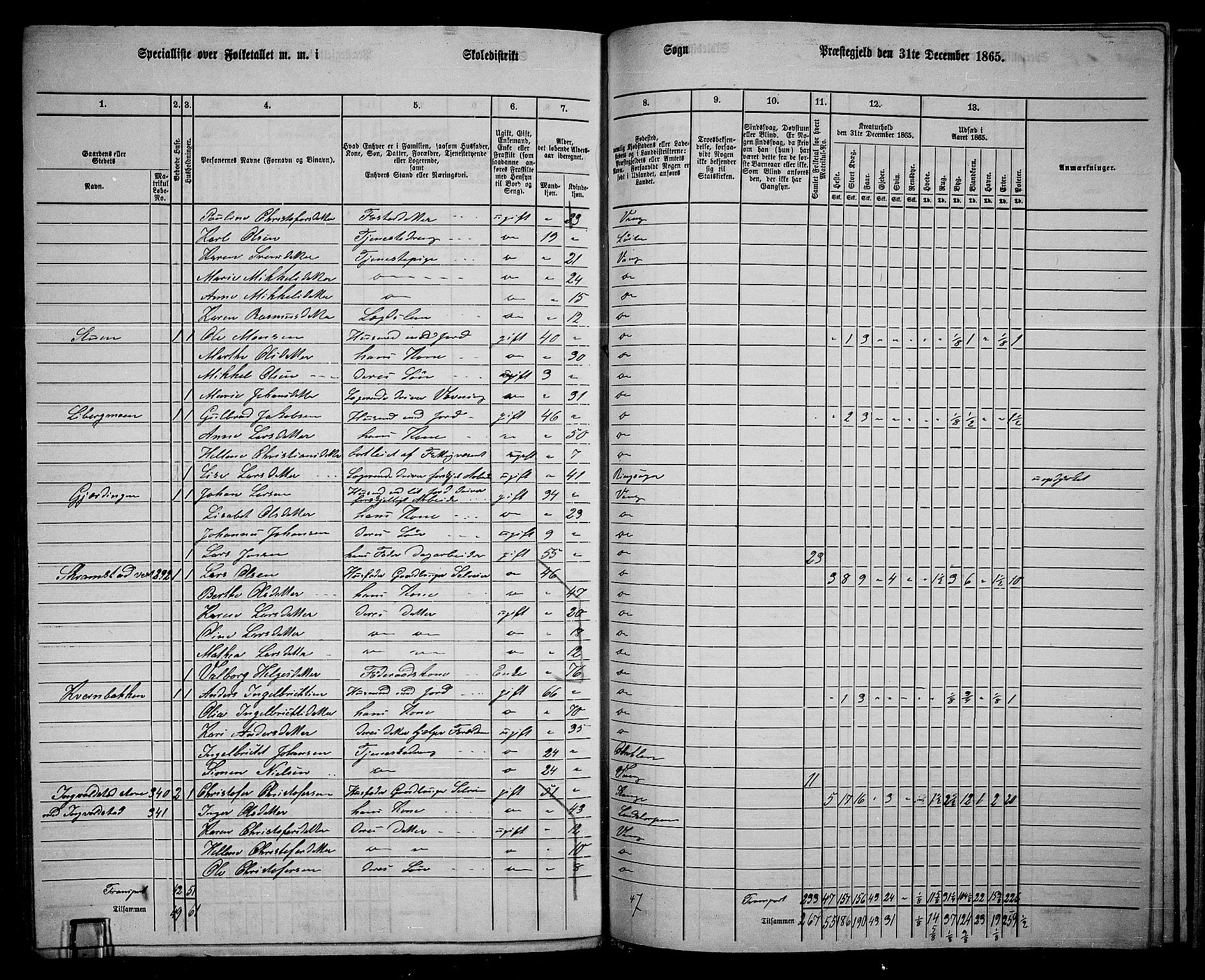 RA, 1865 census for Vang/Vang og Furnes, 1865, p. 302