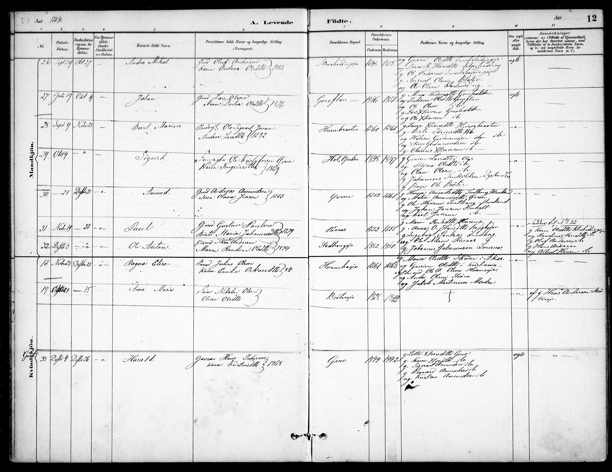 Nes prestekontor Kirkebøker, AV/SAO-A-10410/F/Fc/L0002: Parish register (official) no. IIi 2, 1882-1916, p. 12