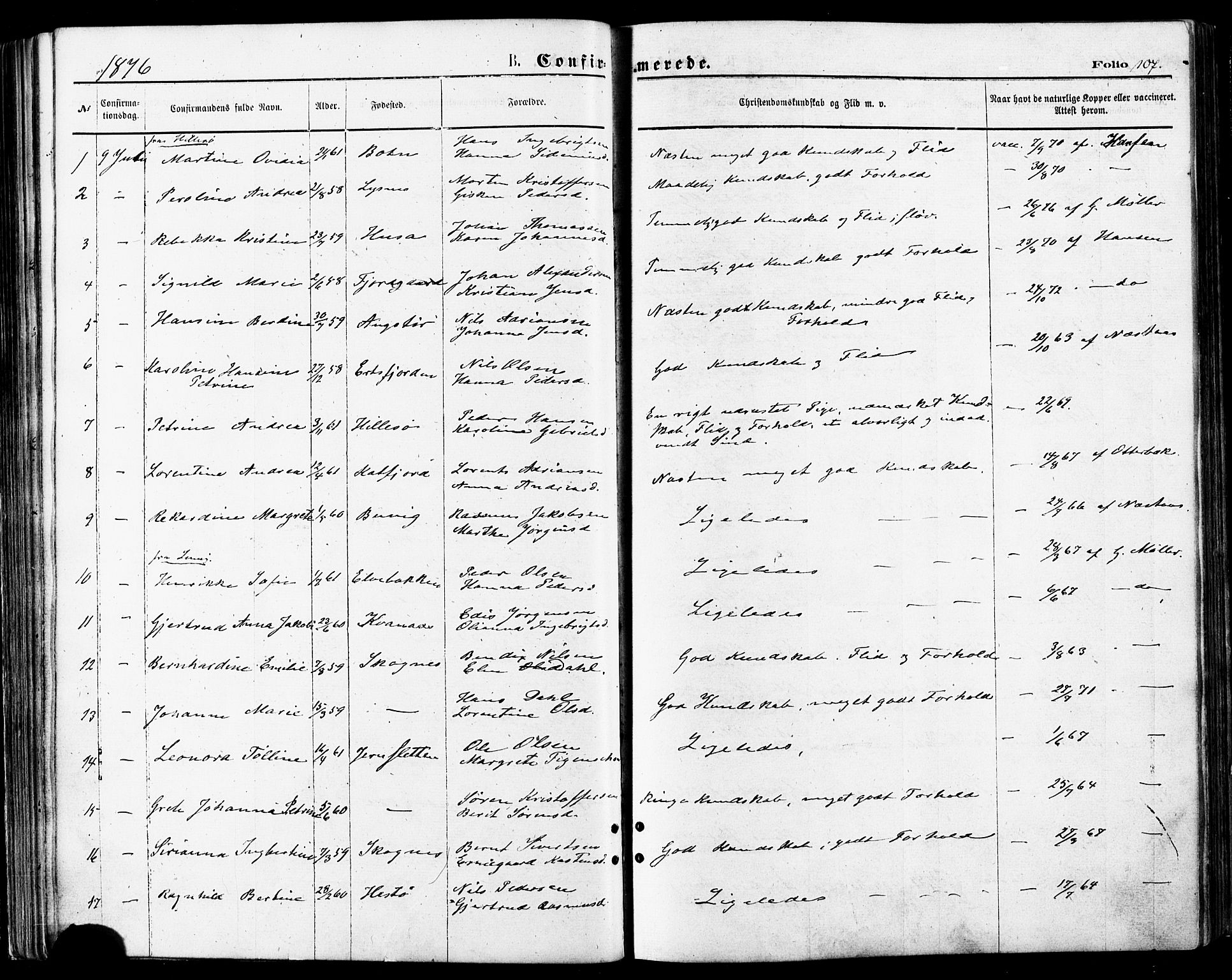 Lenvik sokneprestembete, AV/SATØ-S-1310/H/Ha/Haa/L0010kirke: Parish register (official) no. 10, 1873-1880, p. 107